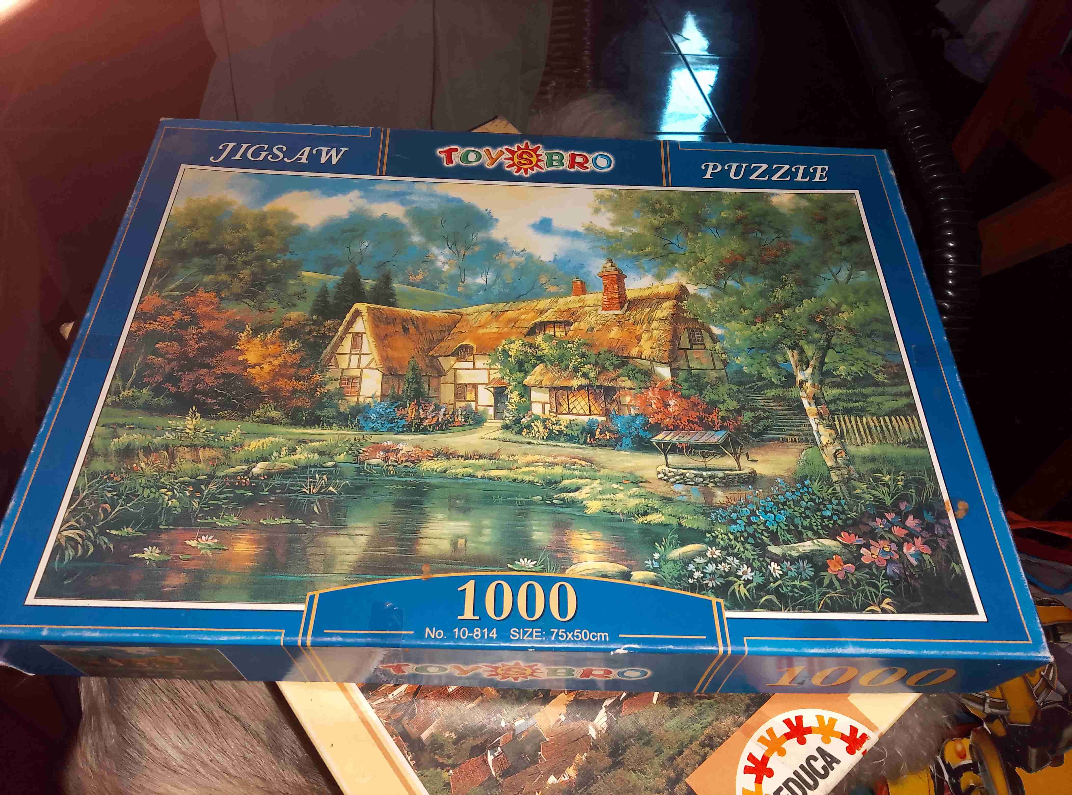 Rompecabezas Educa 1000 piezas - miniatura 6