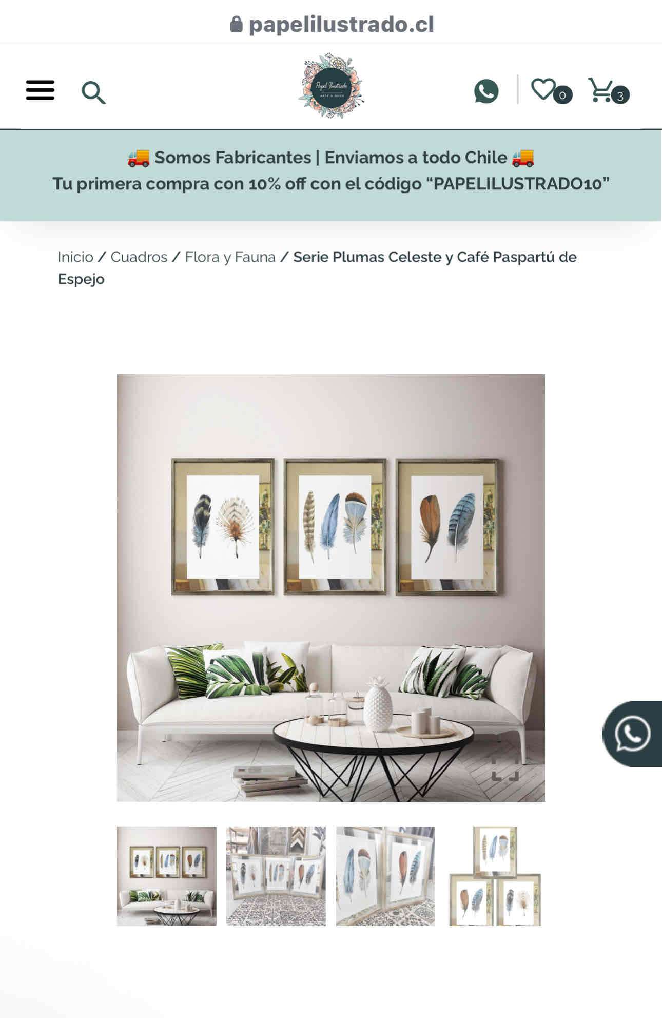 3 Cuadro Plumas Celeste y Café