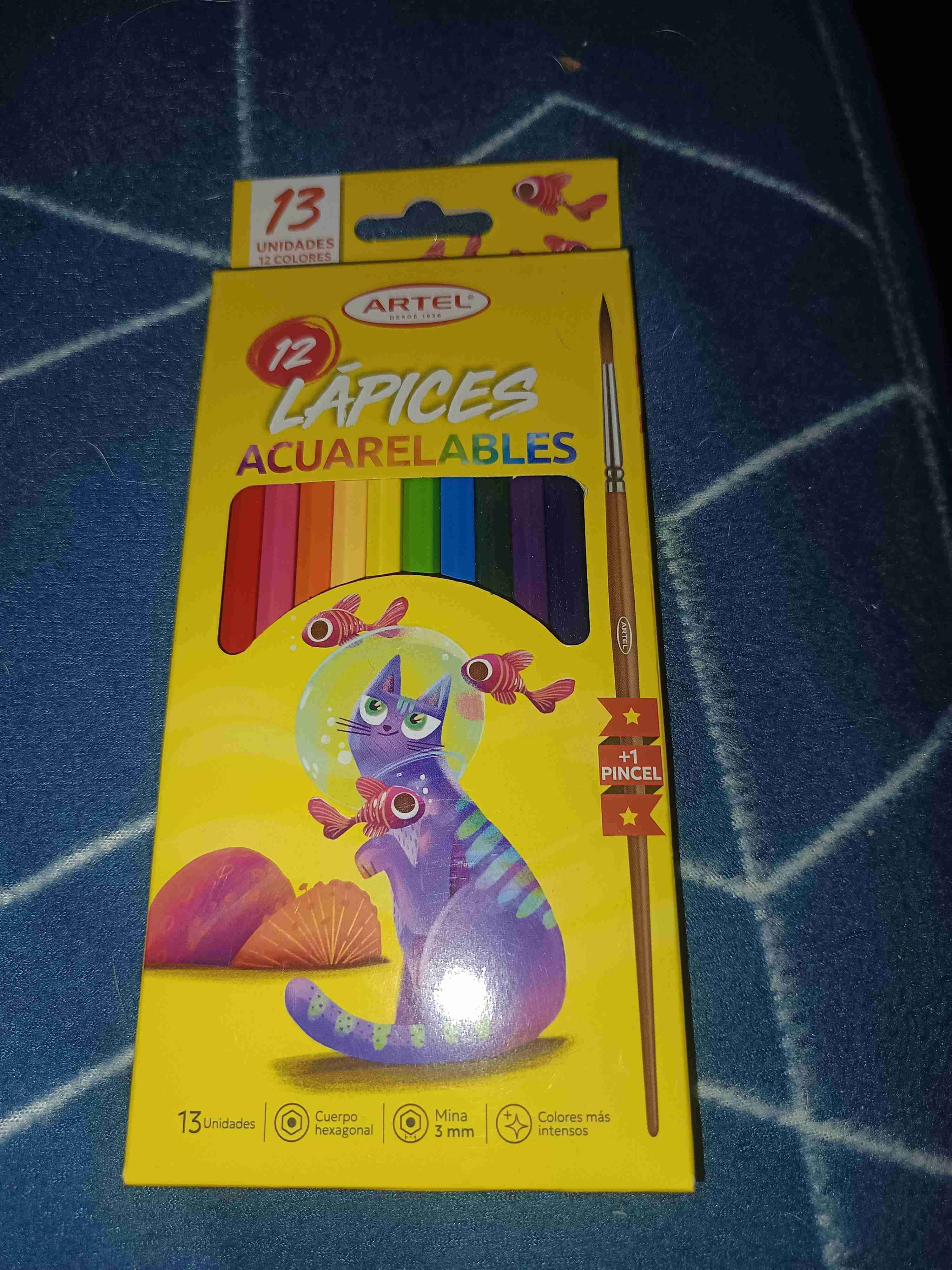 Lápices acuarelables Artel 13 unidades