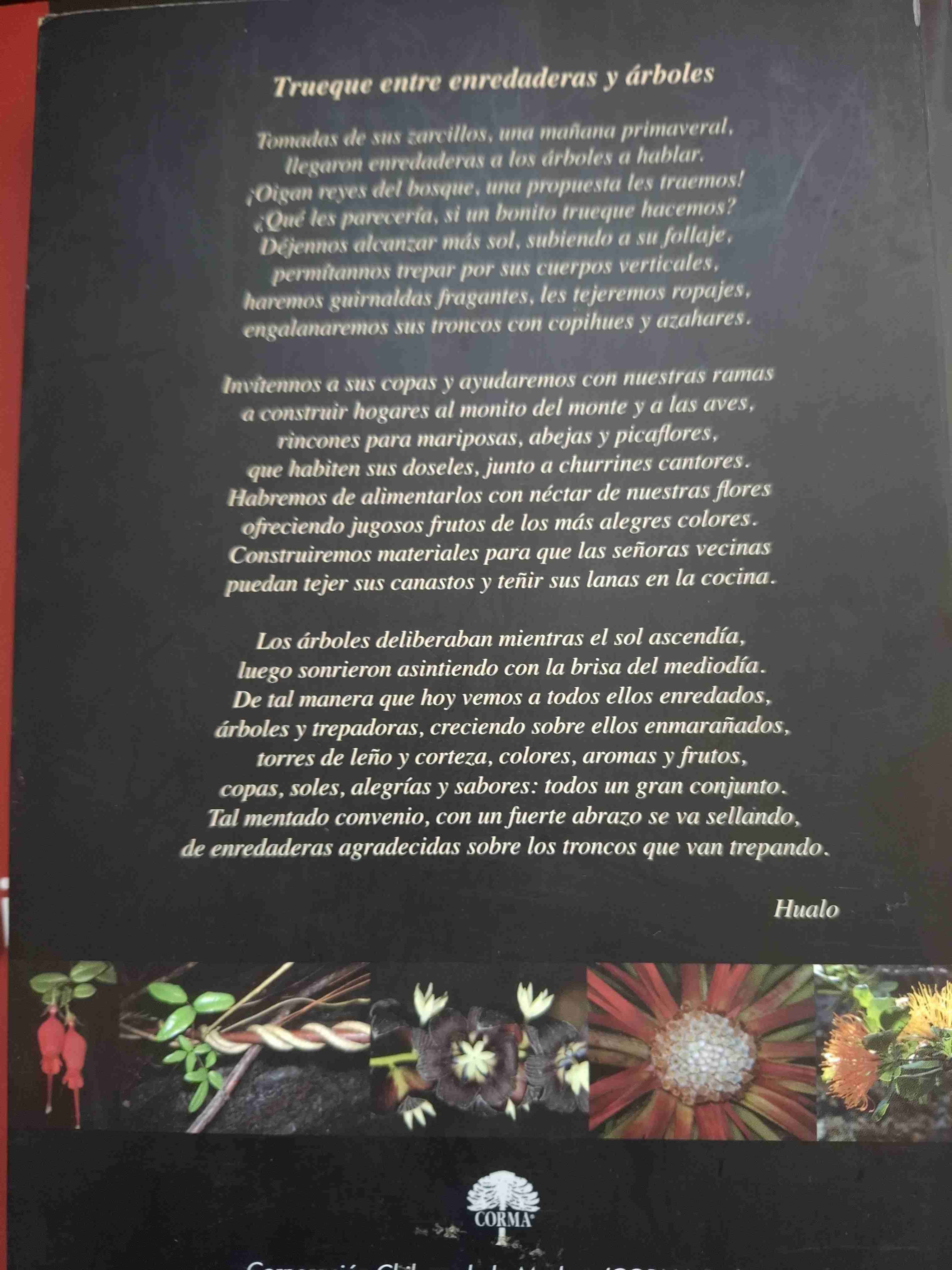 Plantas trepadoras, epífitas y parásitas nativas - miniatura 2