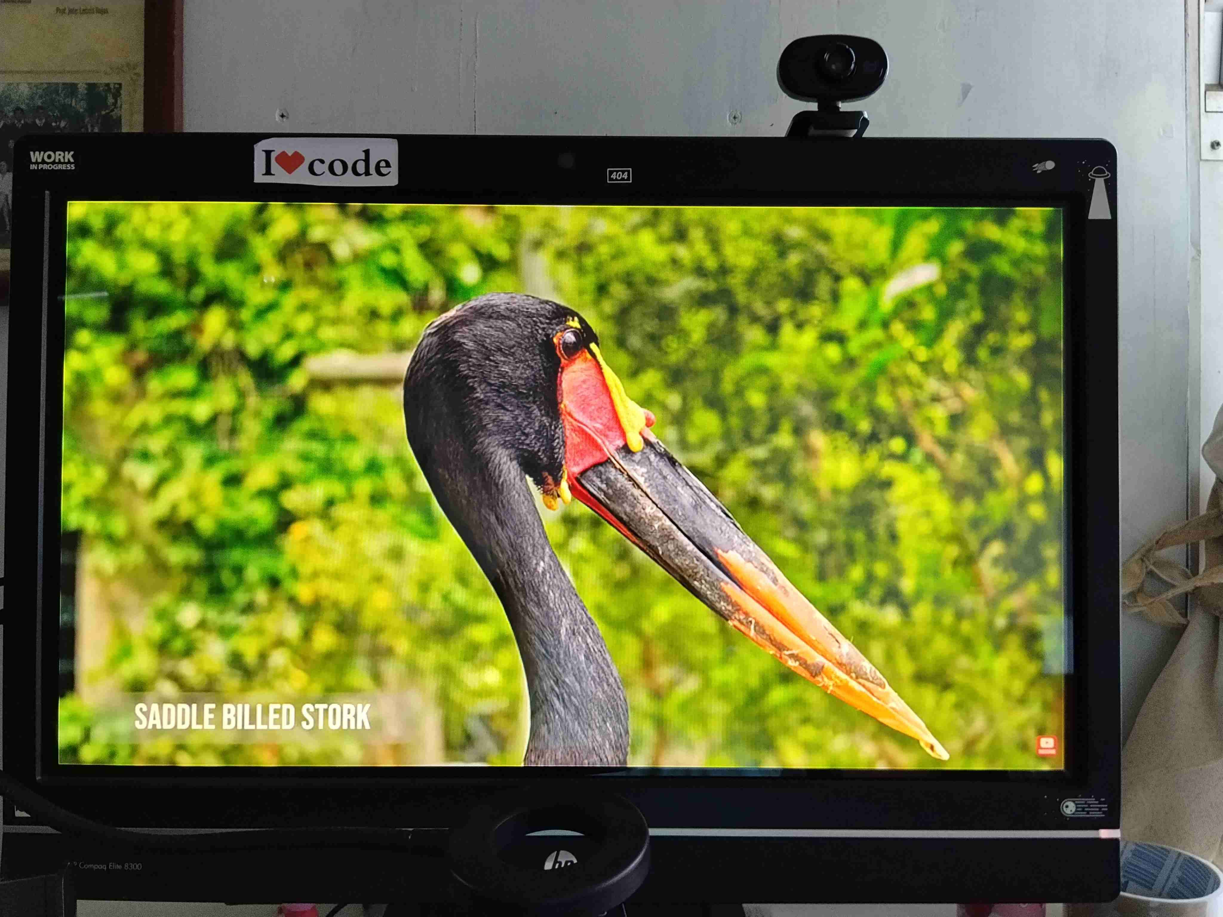 HP Allá in One  23 pulgadas