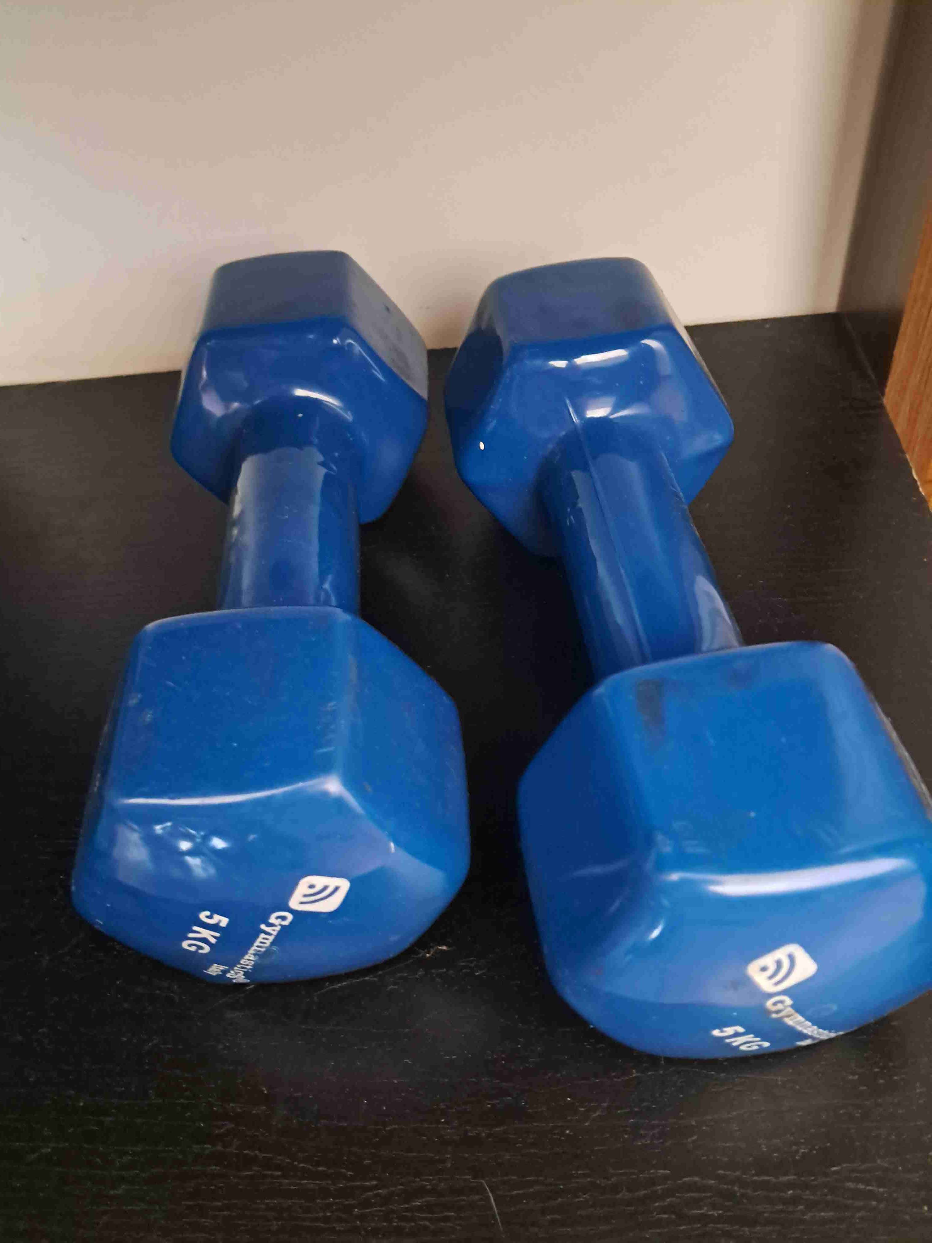 Pesas azules de 5kg cada una