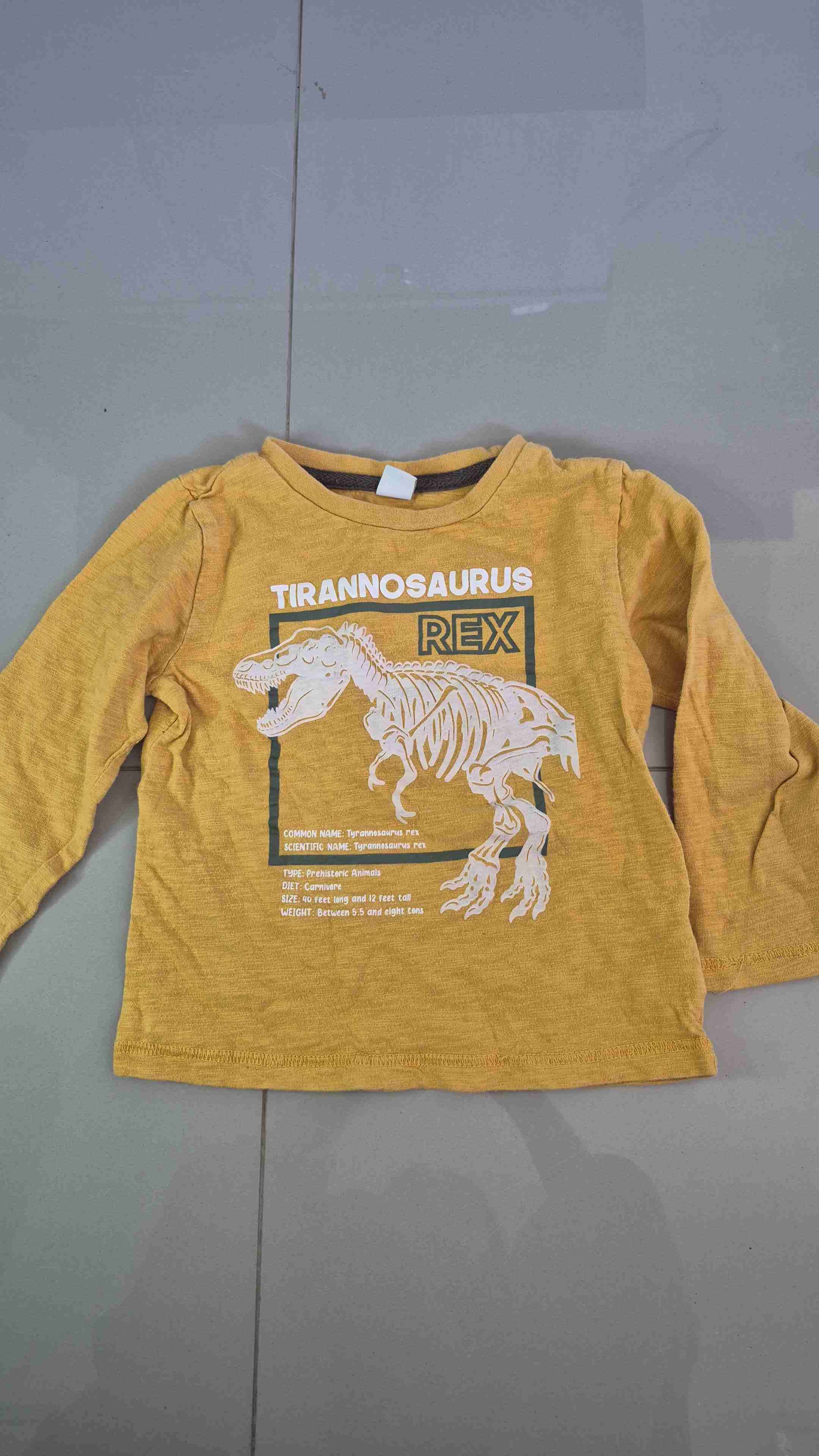 Poleras niño talla 4