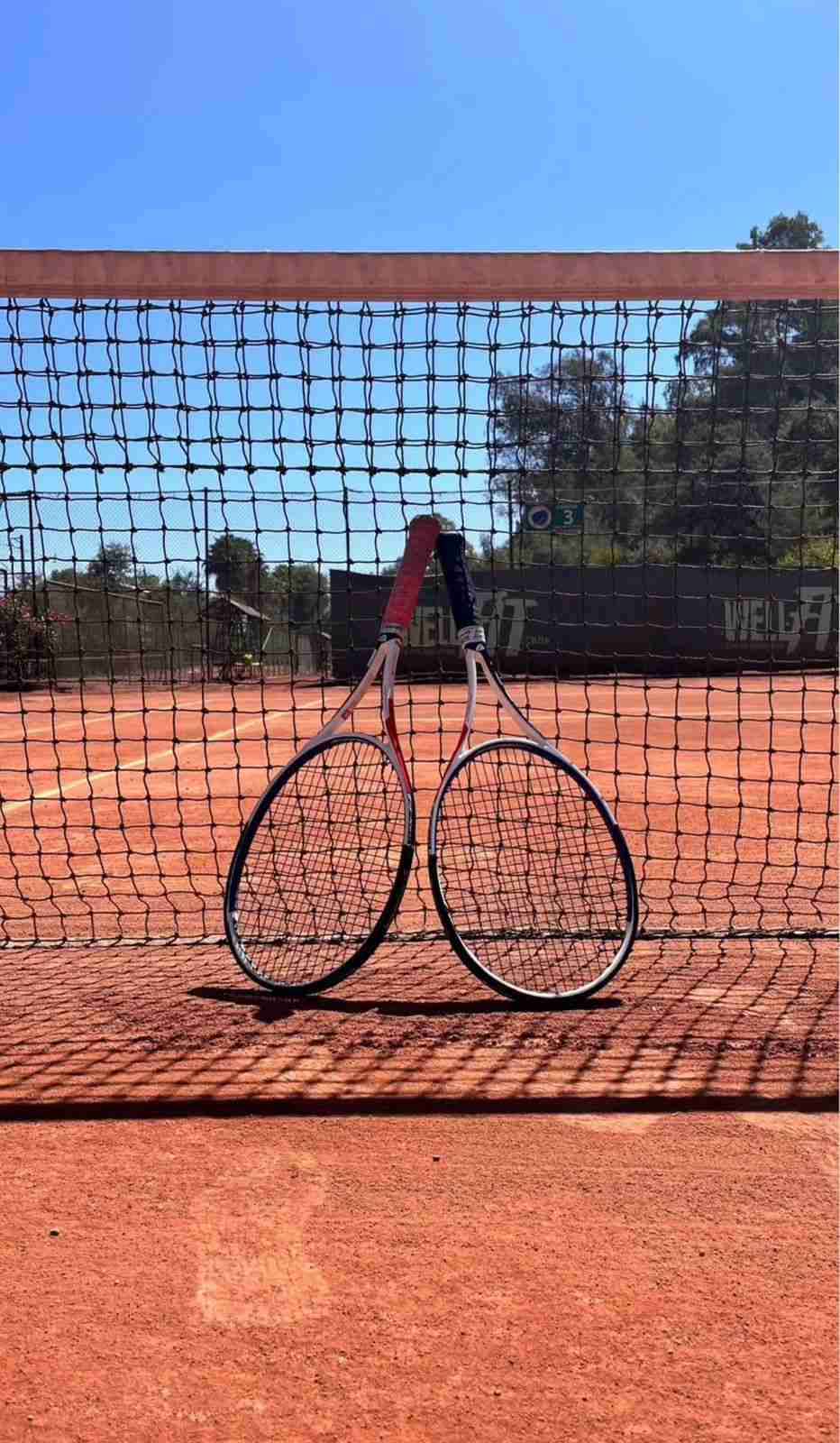 Par de raquetas tecnifibre - 3