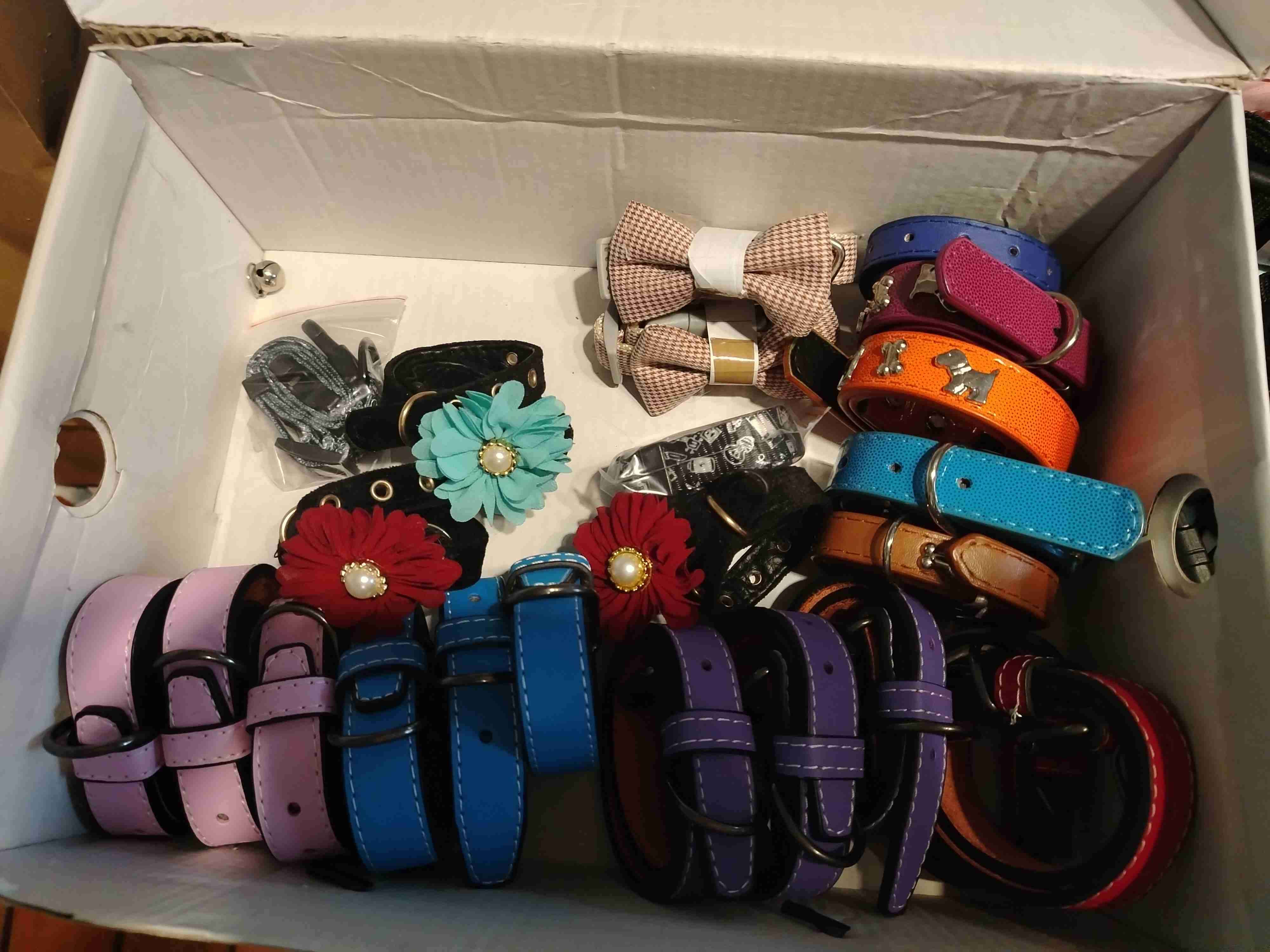 41 collares para mascotas