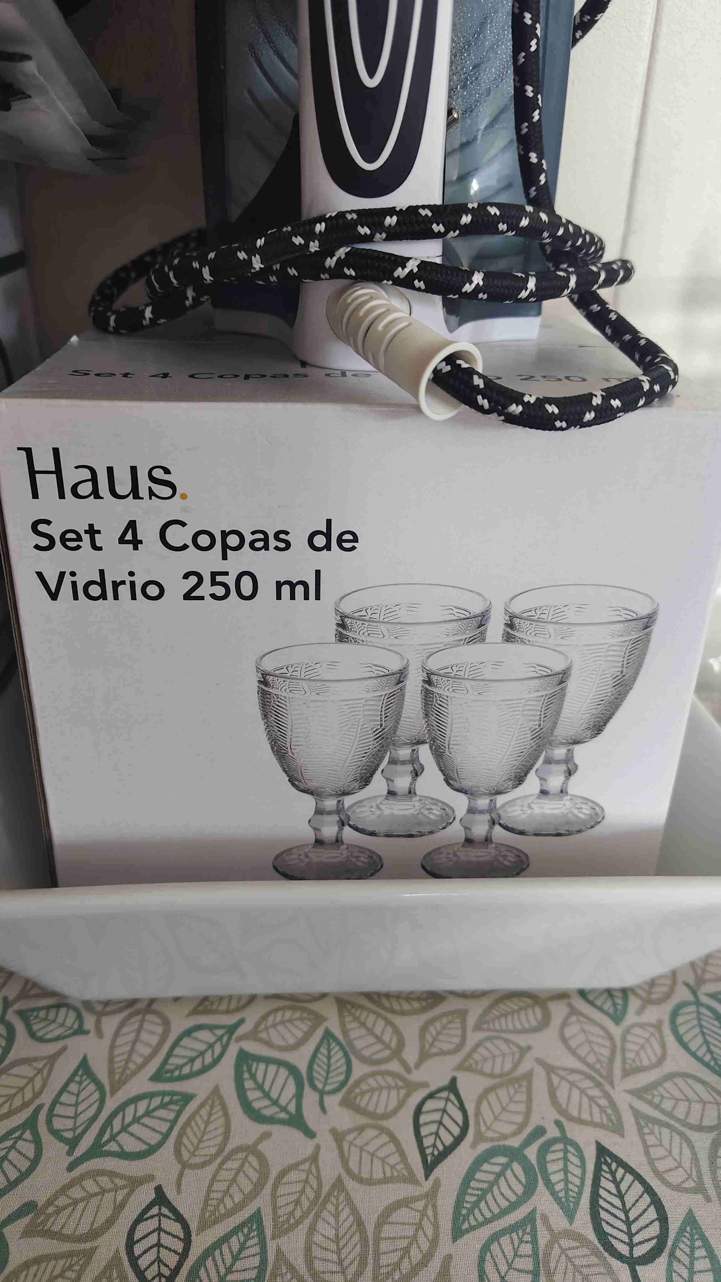 Set de 4 Copas de Vidrio Haus