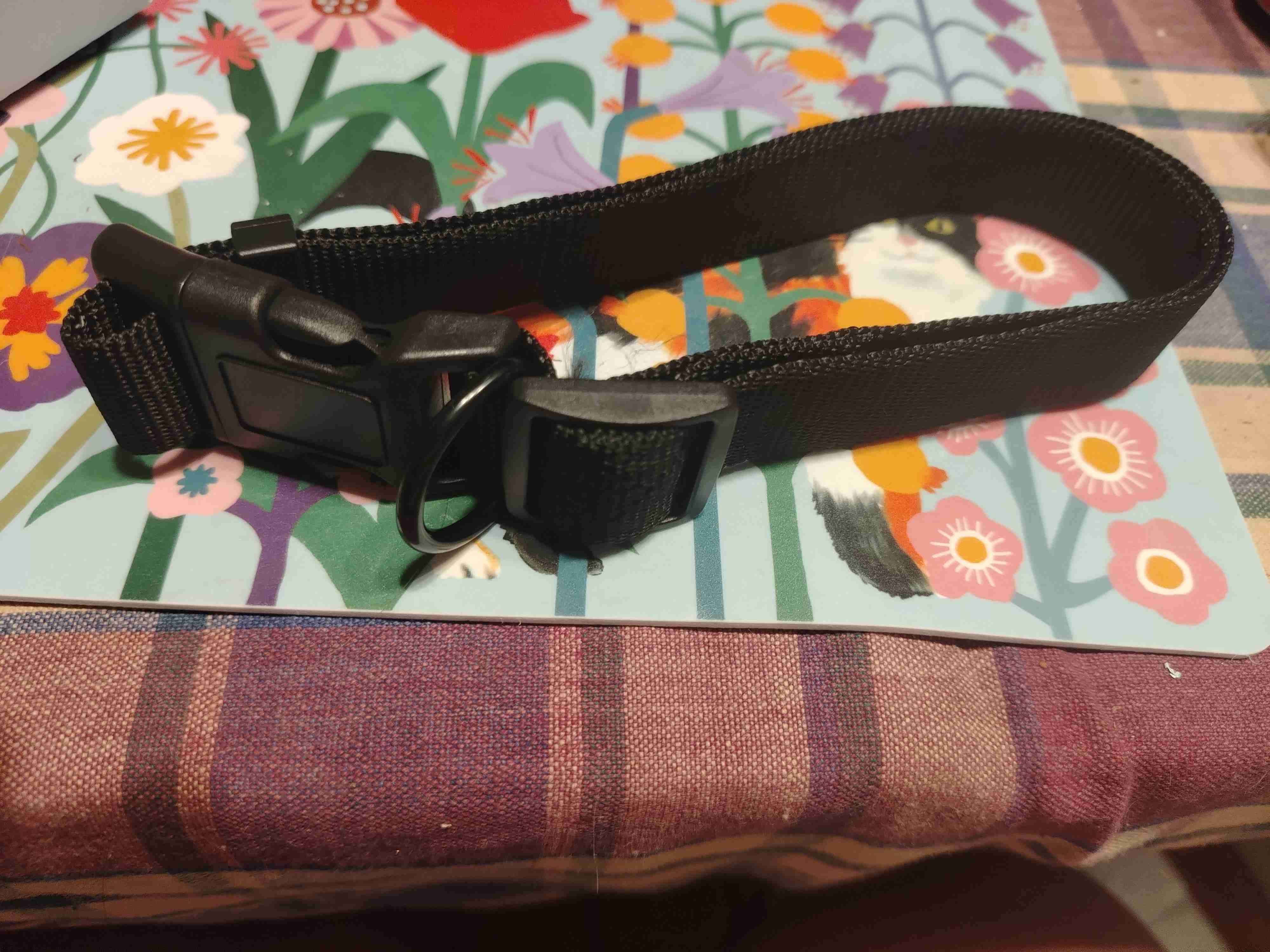 Collar de perro color negro