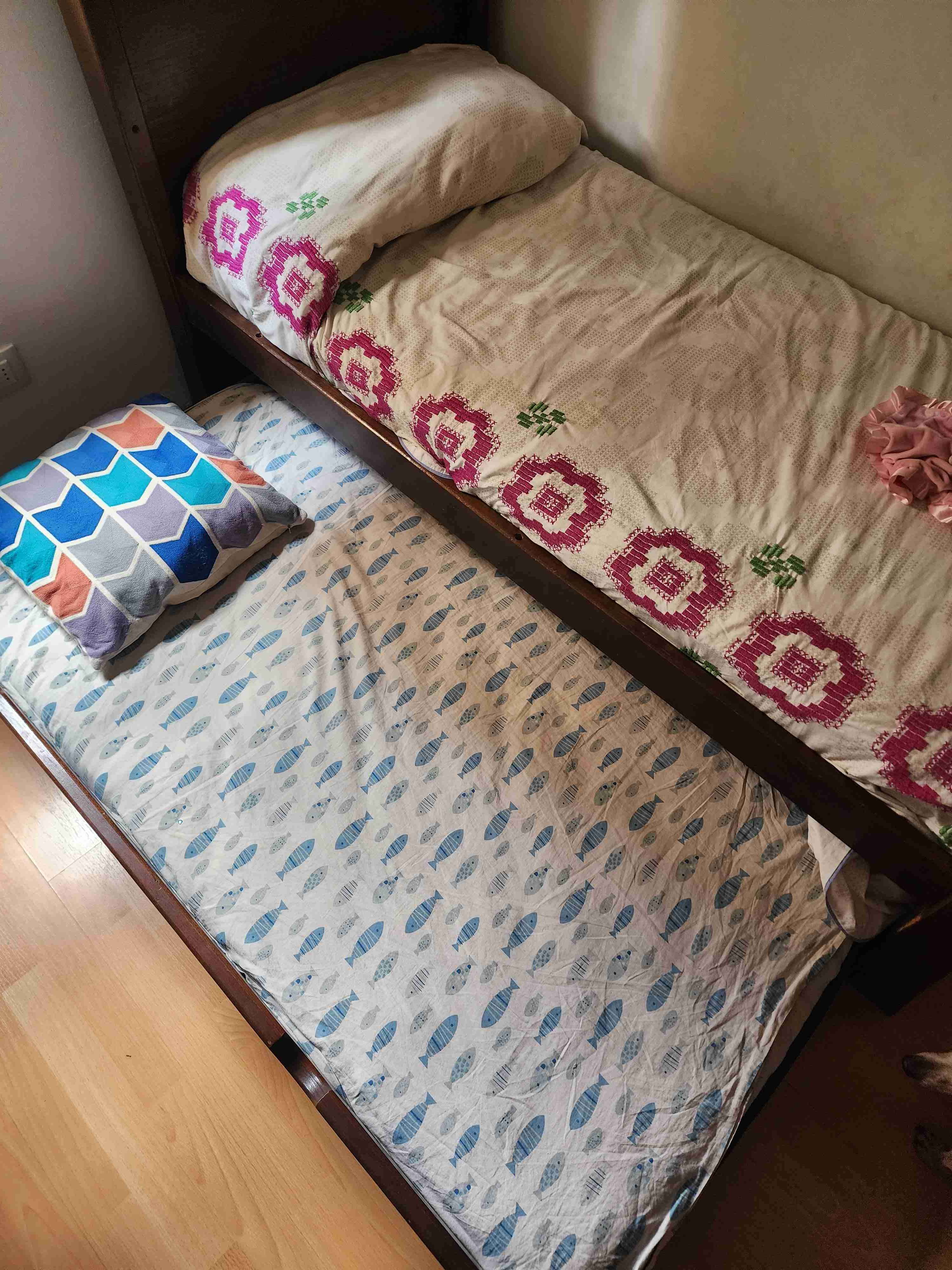 Cuna/cama transición madera Rauli - miniatura 4