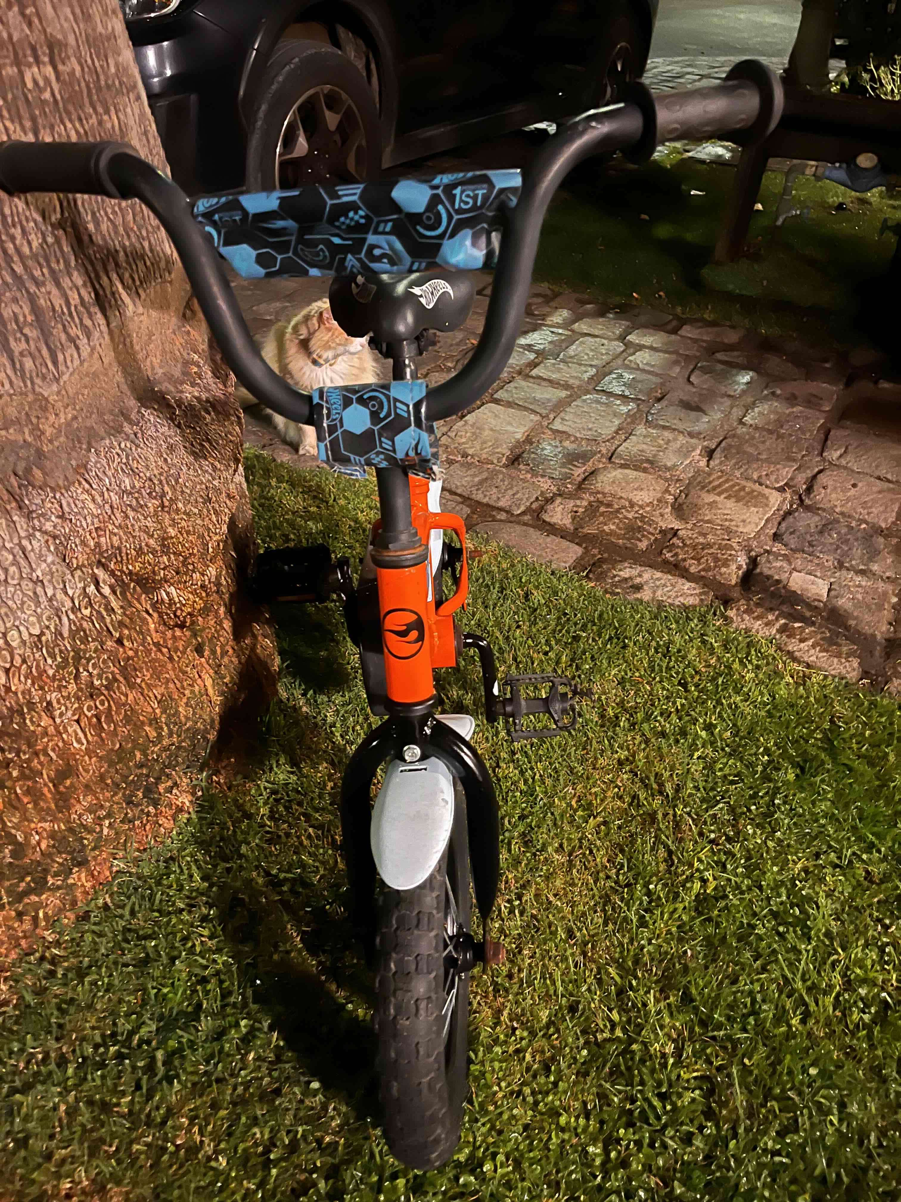 Bicicleta infantil Hot Wheels Bianchi - miniatura 5