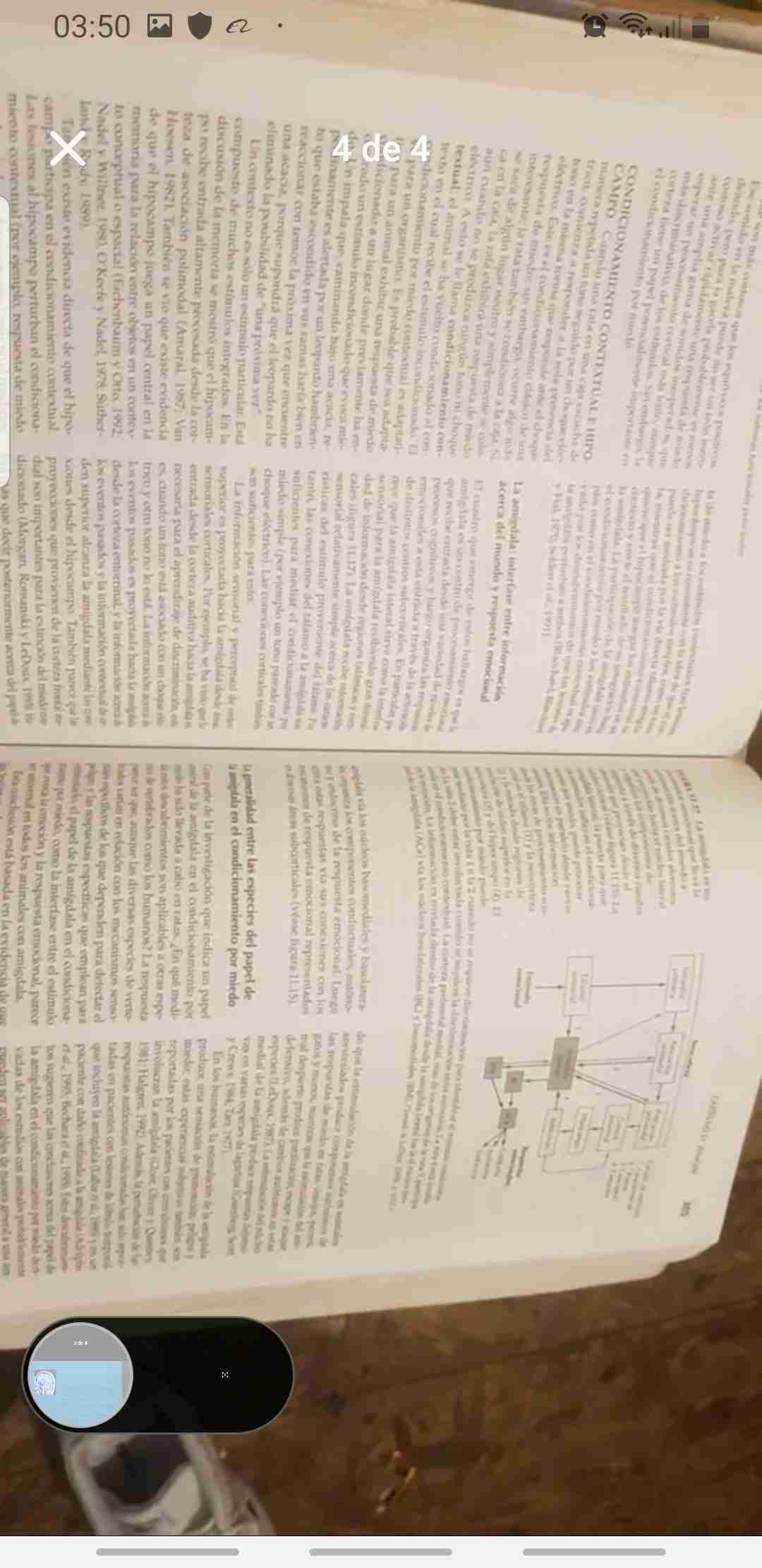 Libro Principios de Neuropsicología Humana - miniatura 2