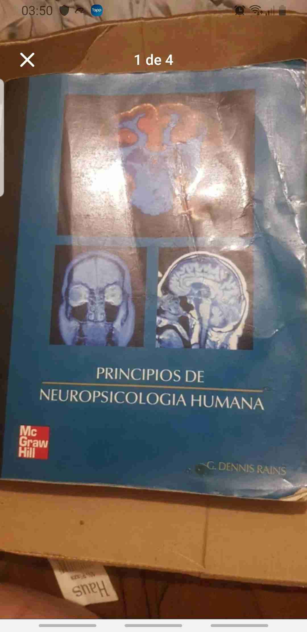 Libro Principios de Neuropsicología Humana - miniatura 4