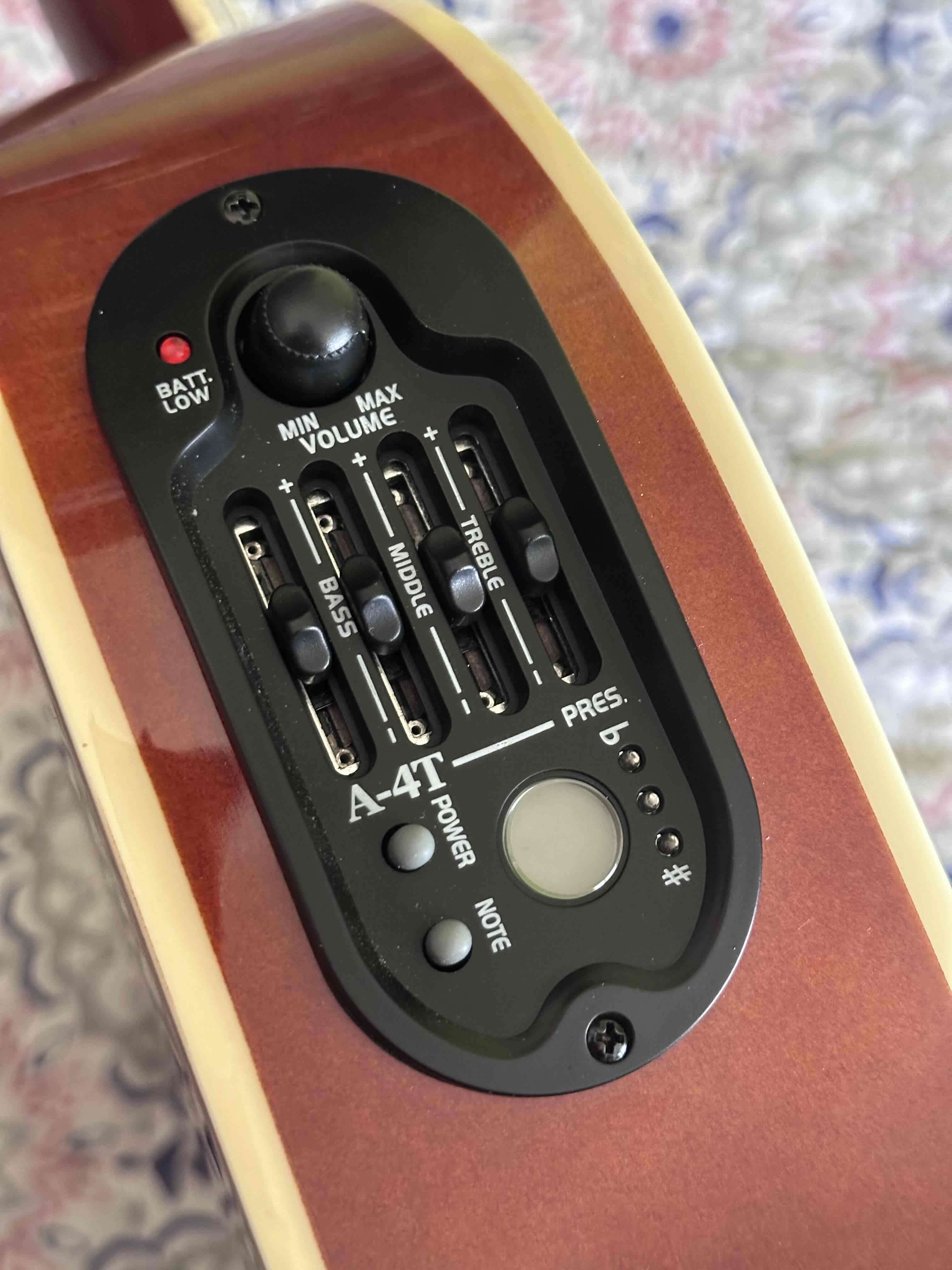 Guitarra electroacústica Freeman - miniatura 2