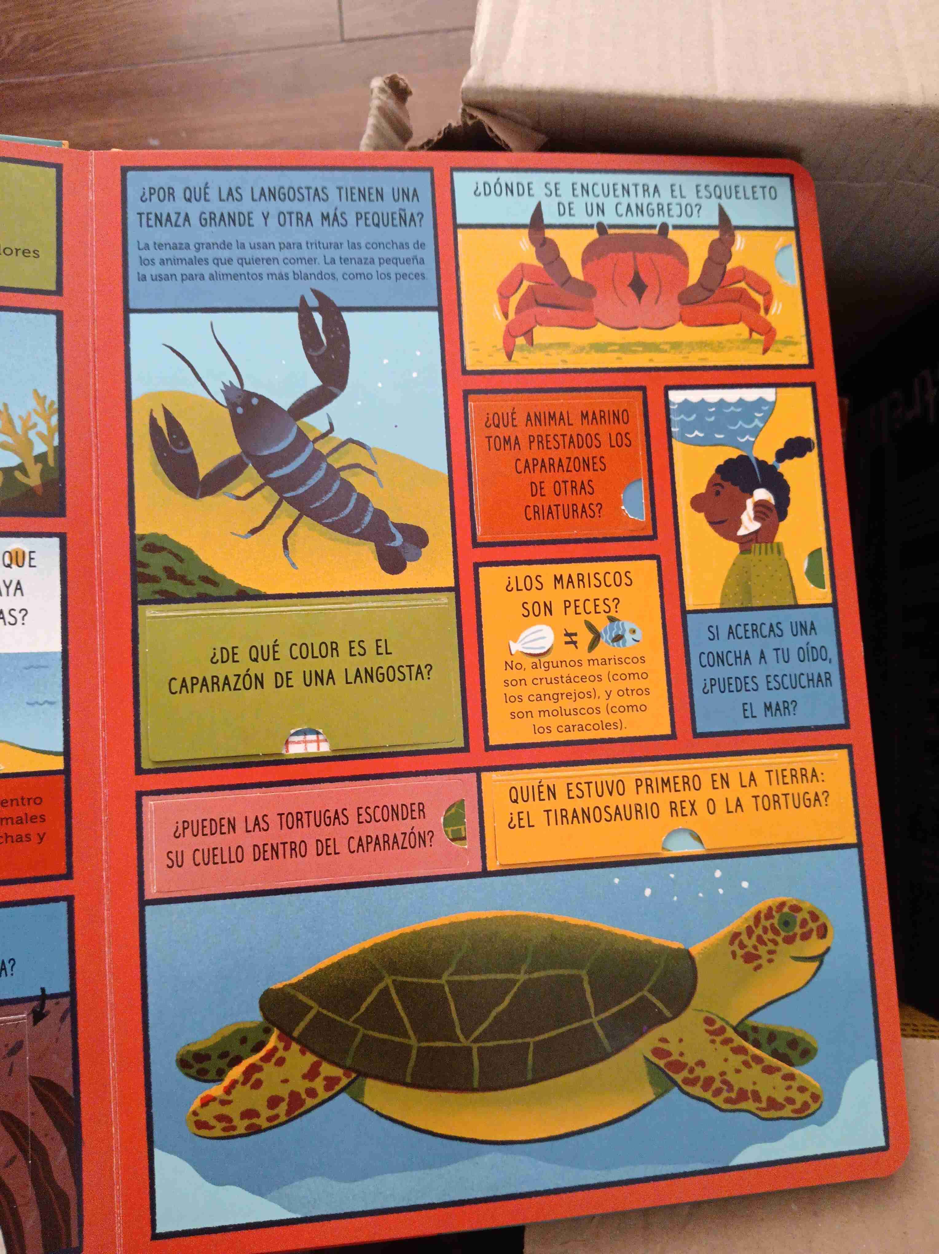 Libro educativo Océano - miniatura 2