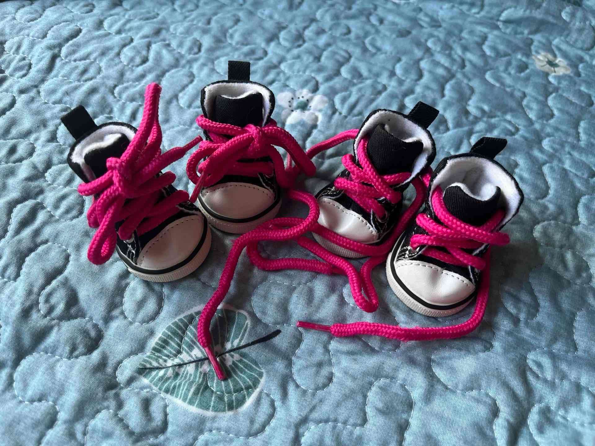 Zapatos para perro estilo converse