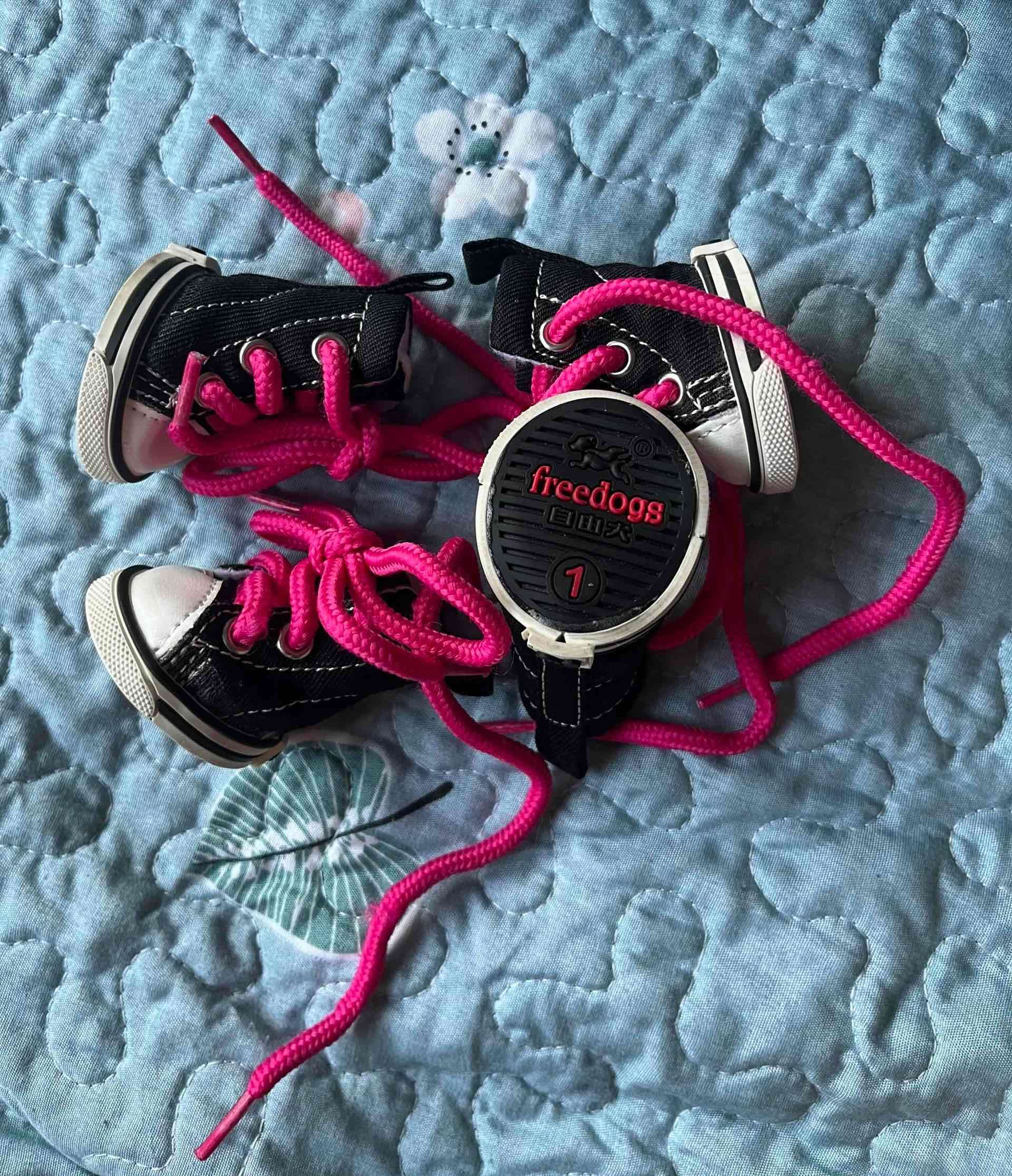 Zapatos para perro estilo converse - miniatura 2