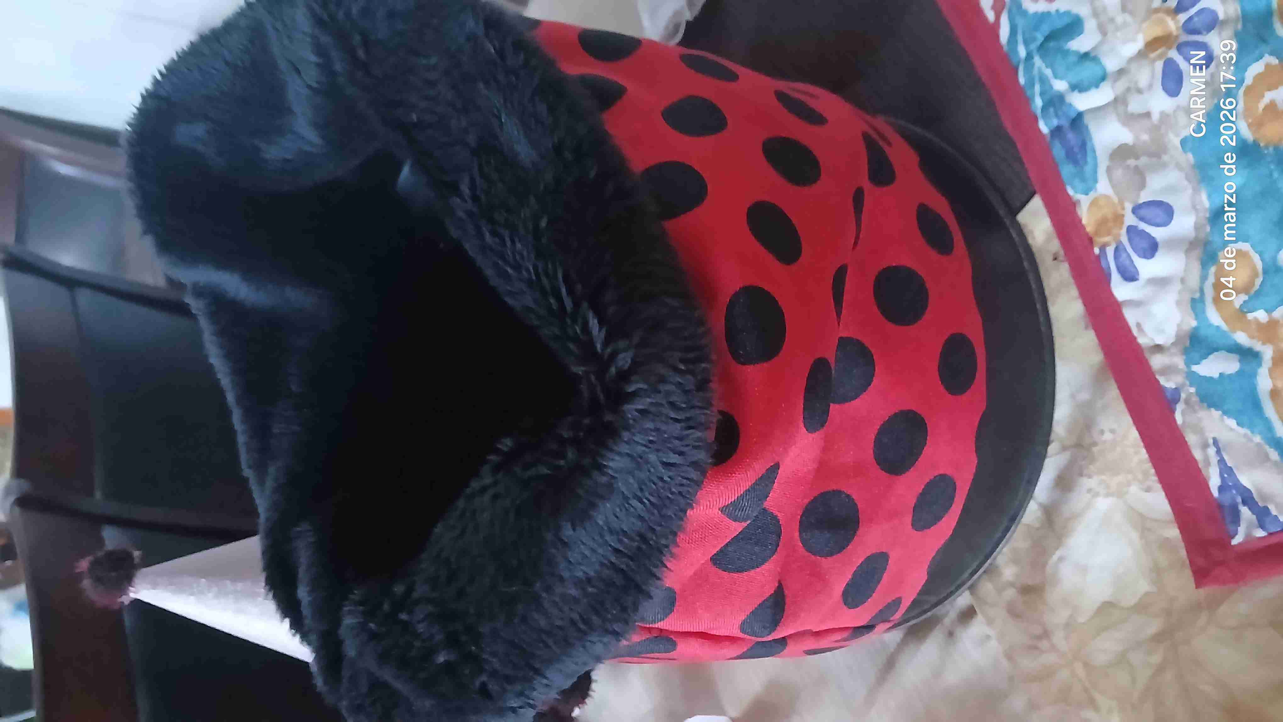 Cuellos abrigados y reversibles - miniatura 3