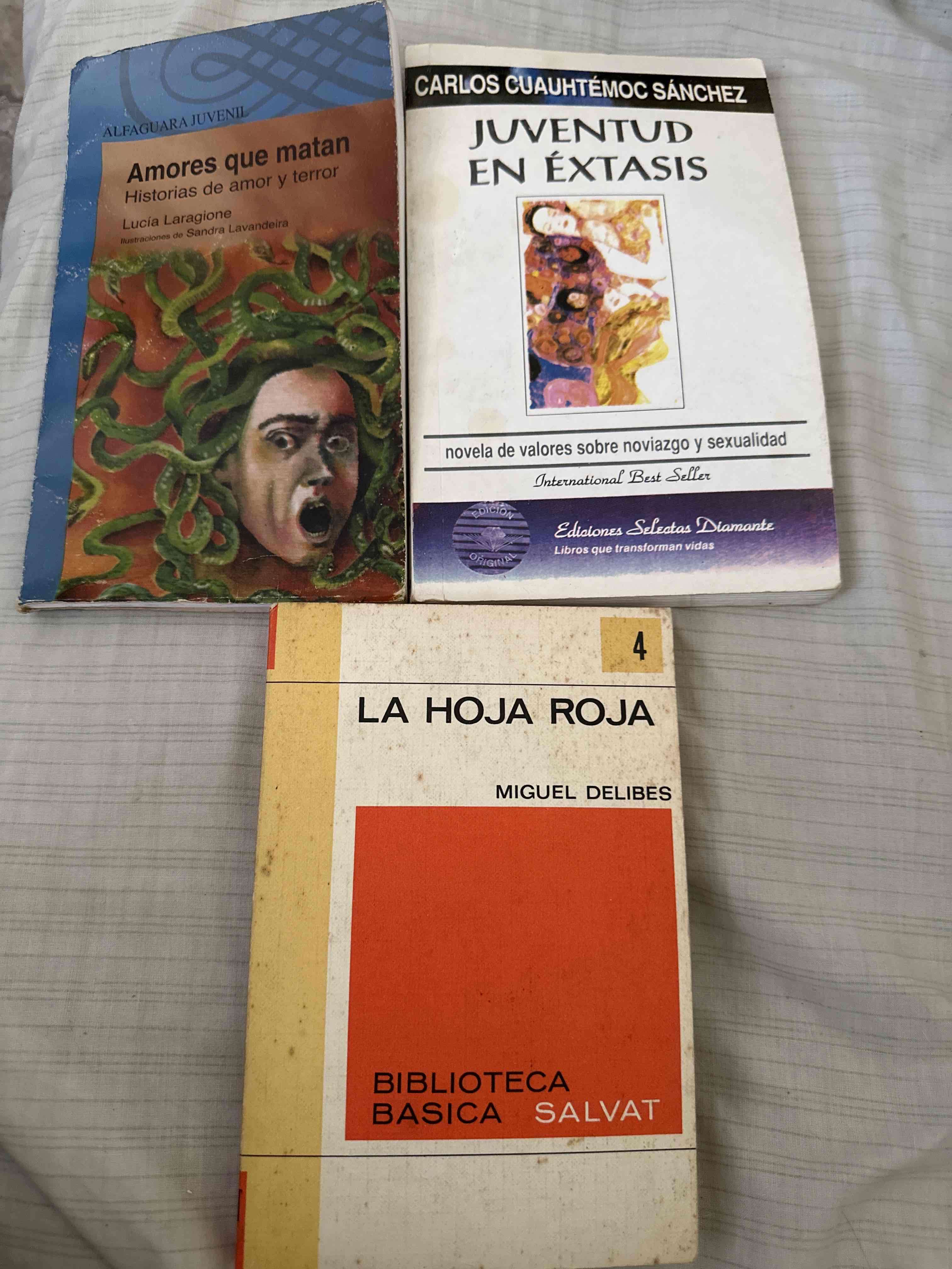 Lote de libros variados