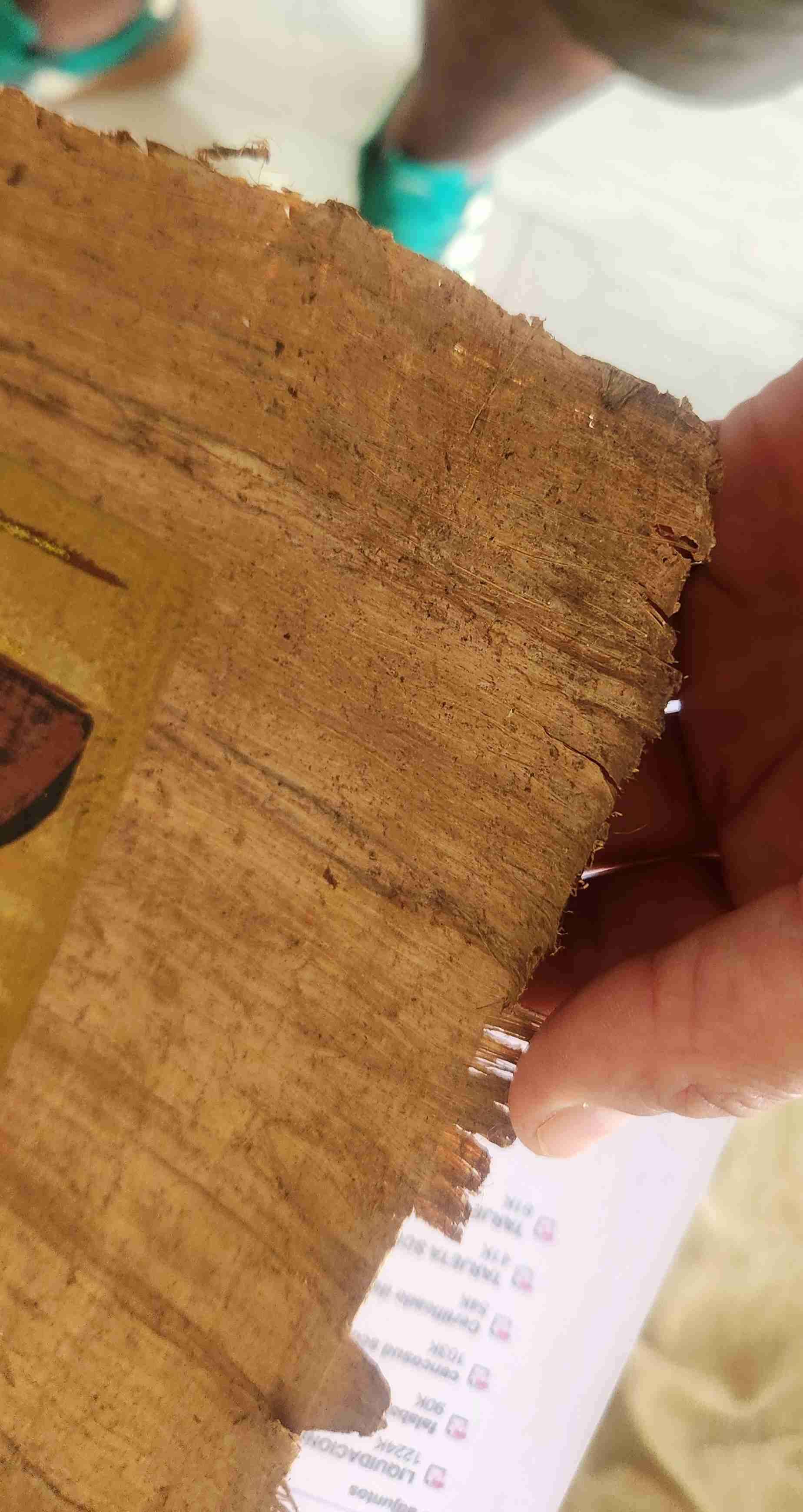 Pintura en papiro egipcio - miniatura 4