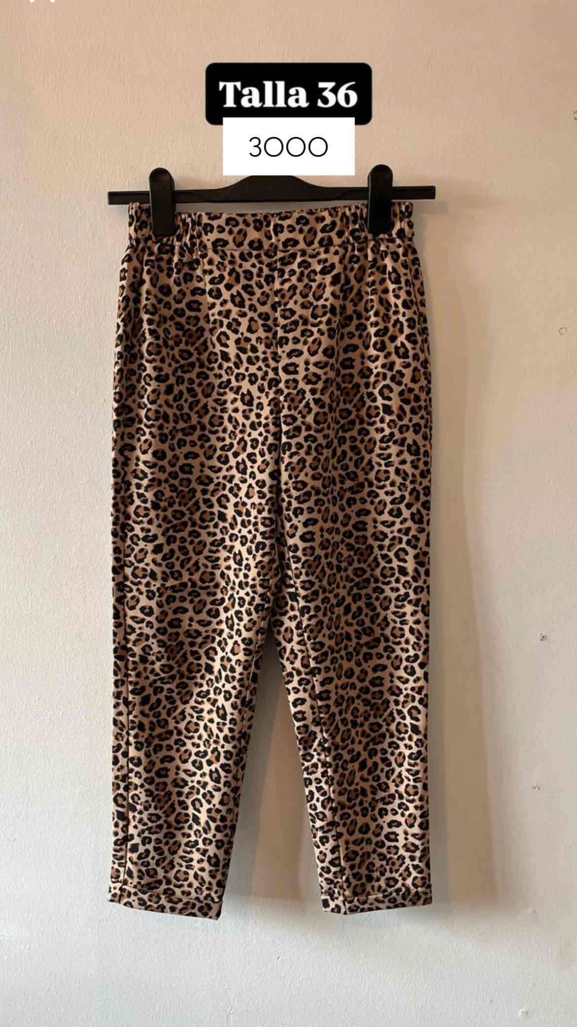 Pantalón animal print talla 36