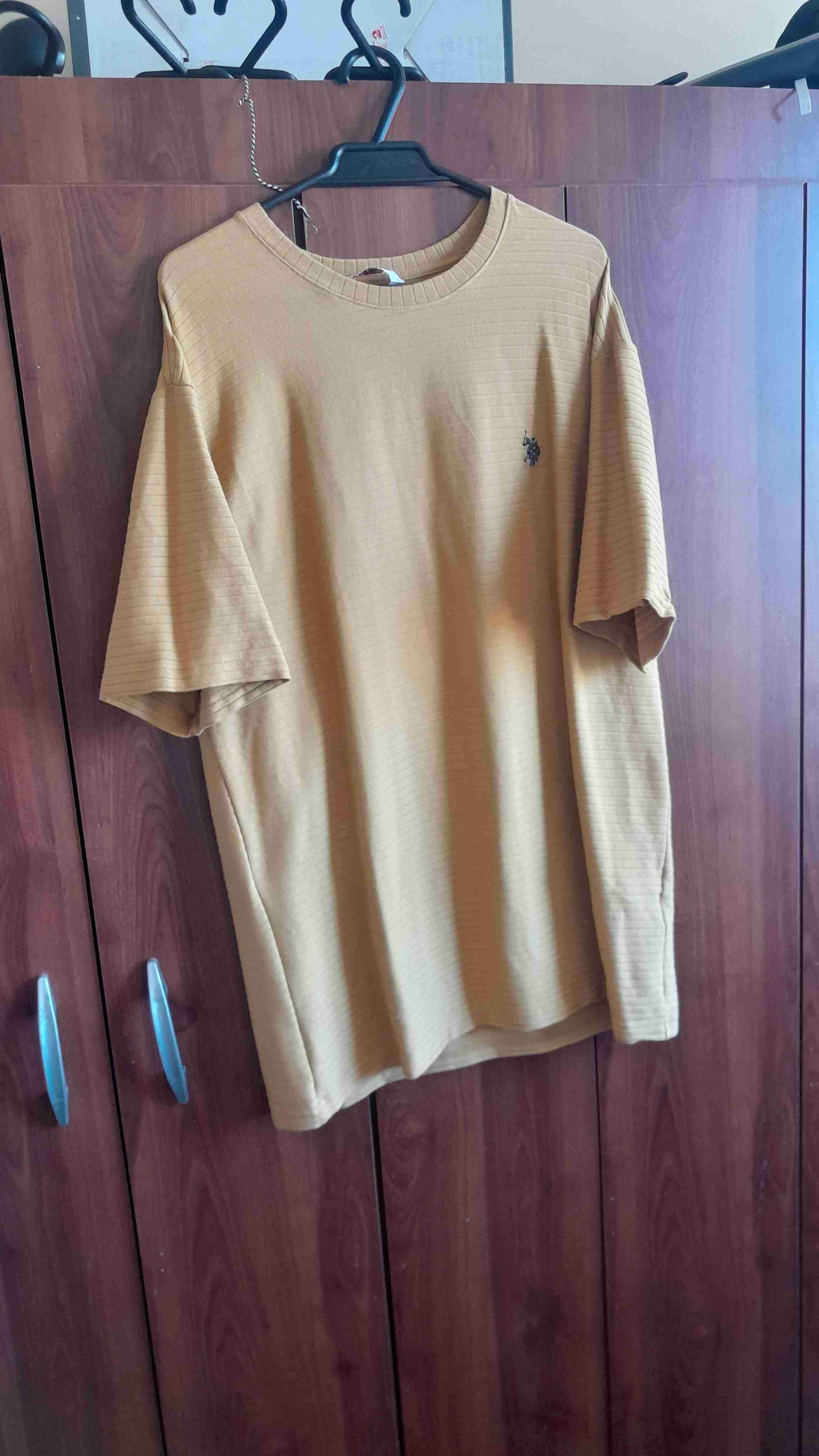 Polera beige con logo Polo