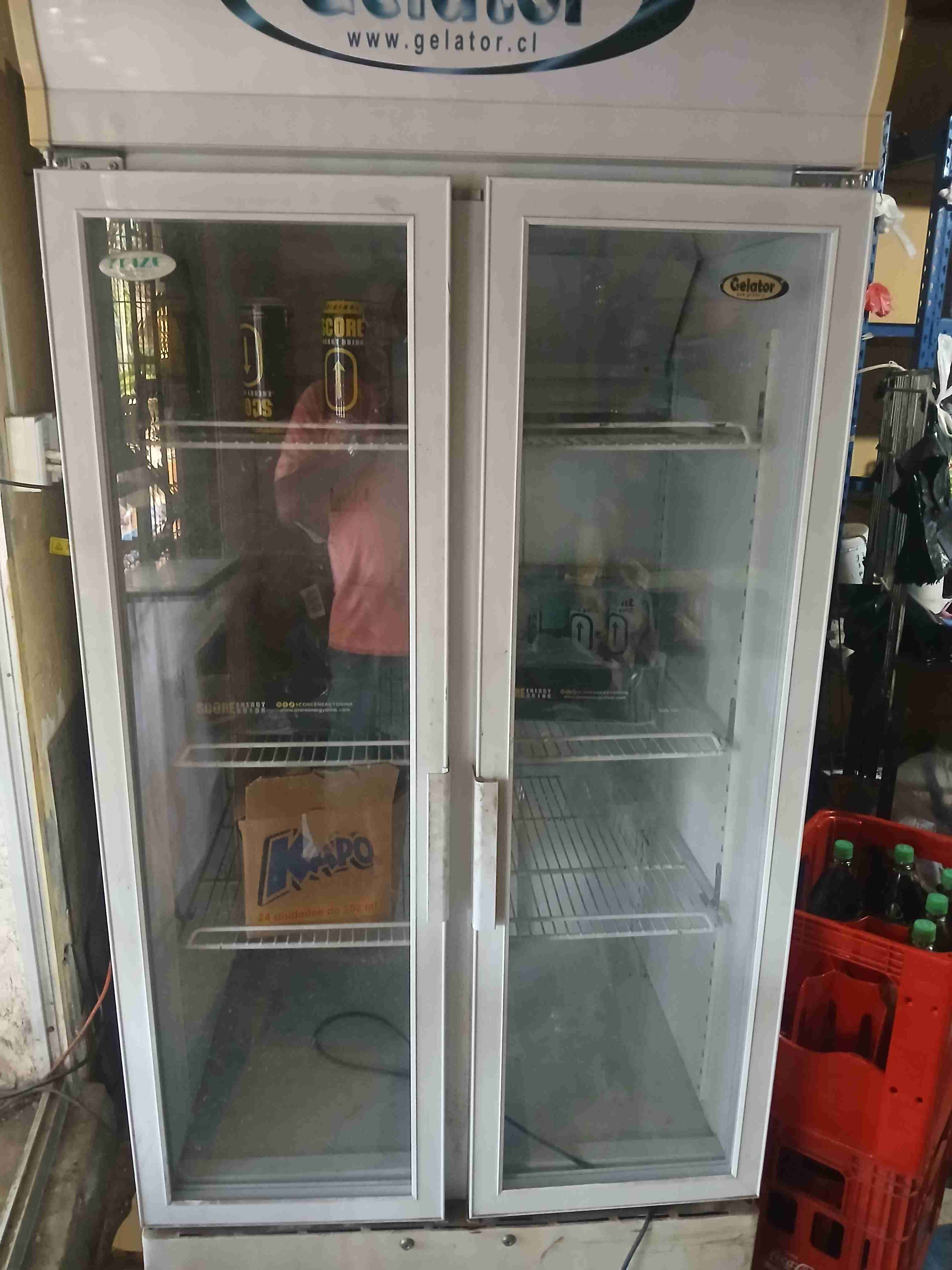 Refrigerador comercial con doble puerta de vidrio - miniatura 3