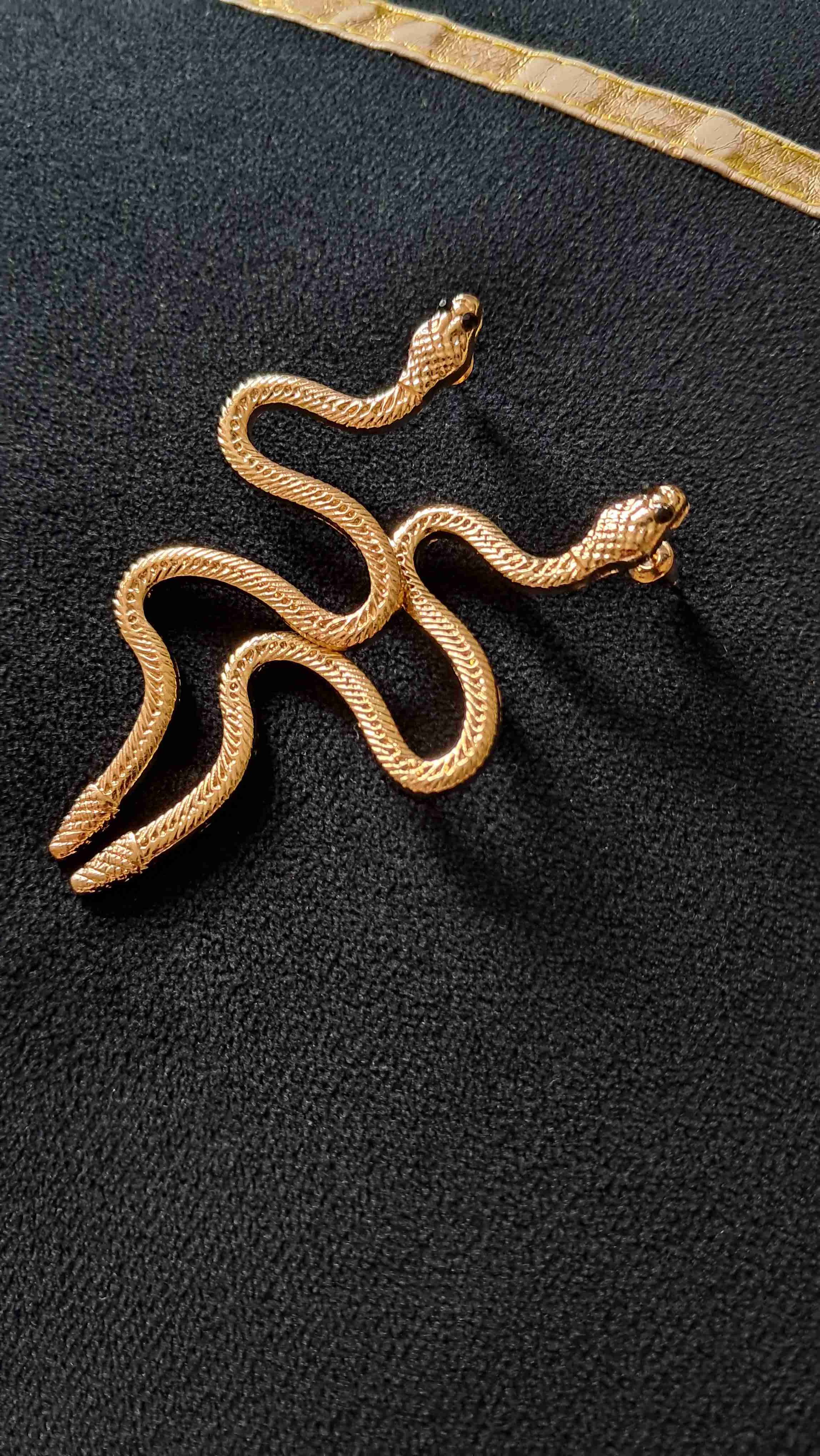 Conjunto de serpiente dorado
