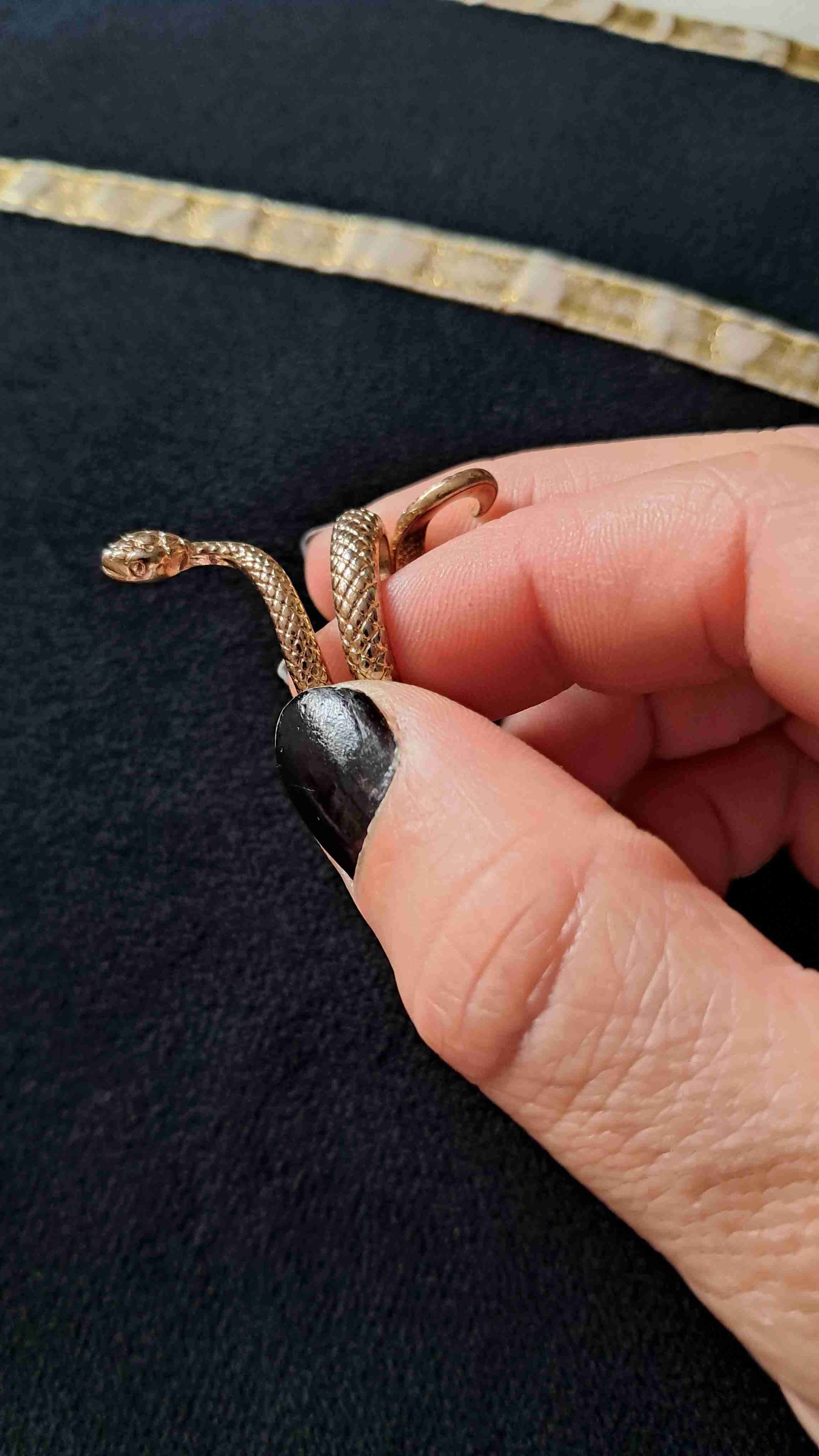 Conjunto de serpiente dorado - miniatura 2