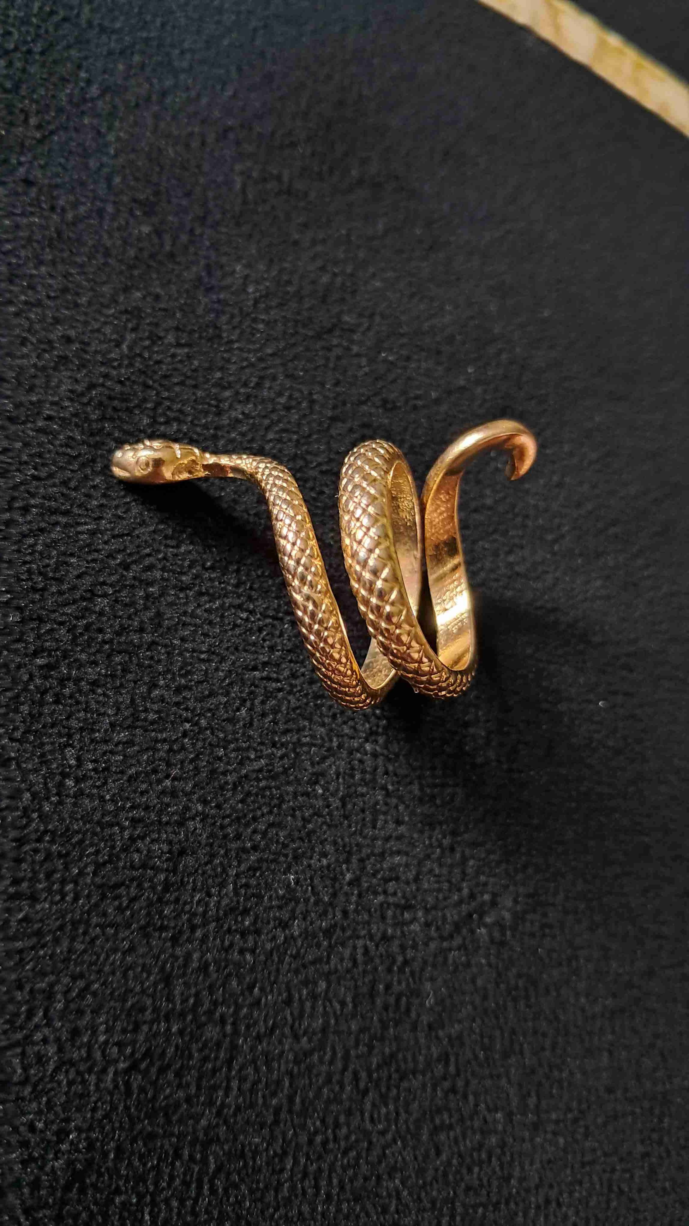 Conjunto de serpiente dorado - miniatura 3