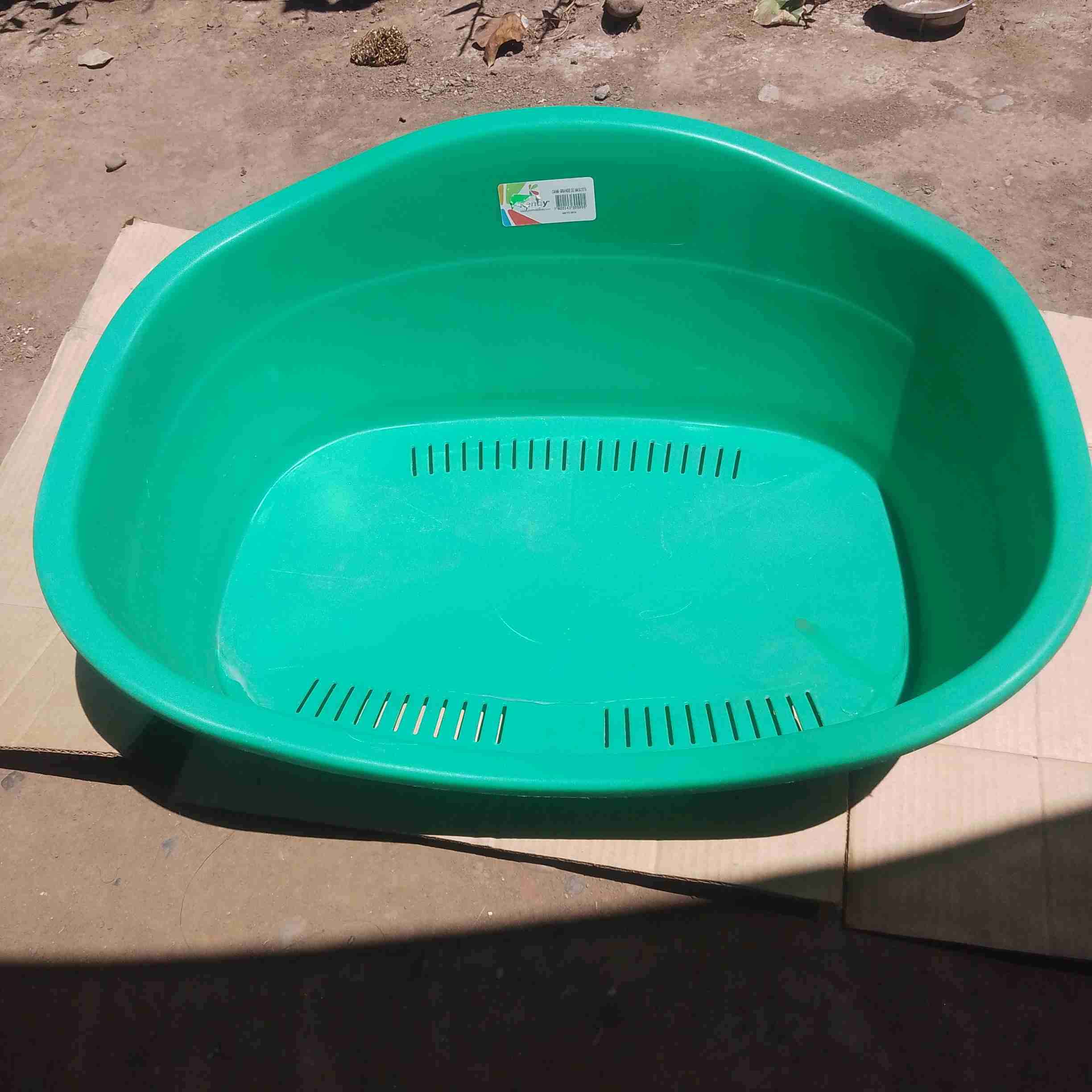 Cama plástica verde para mascotas
