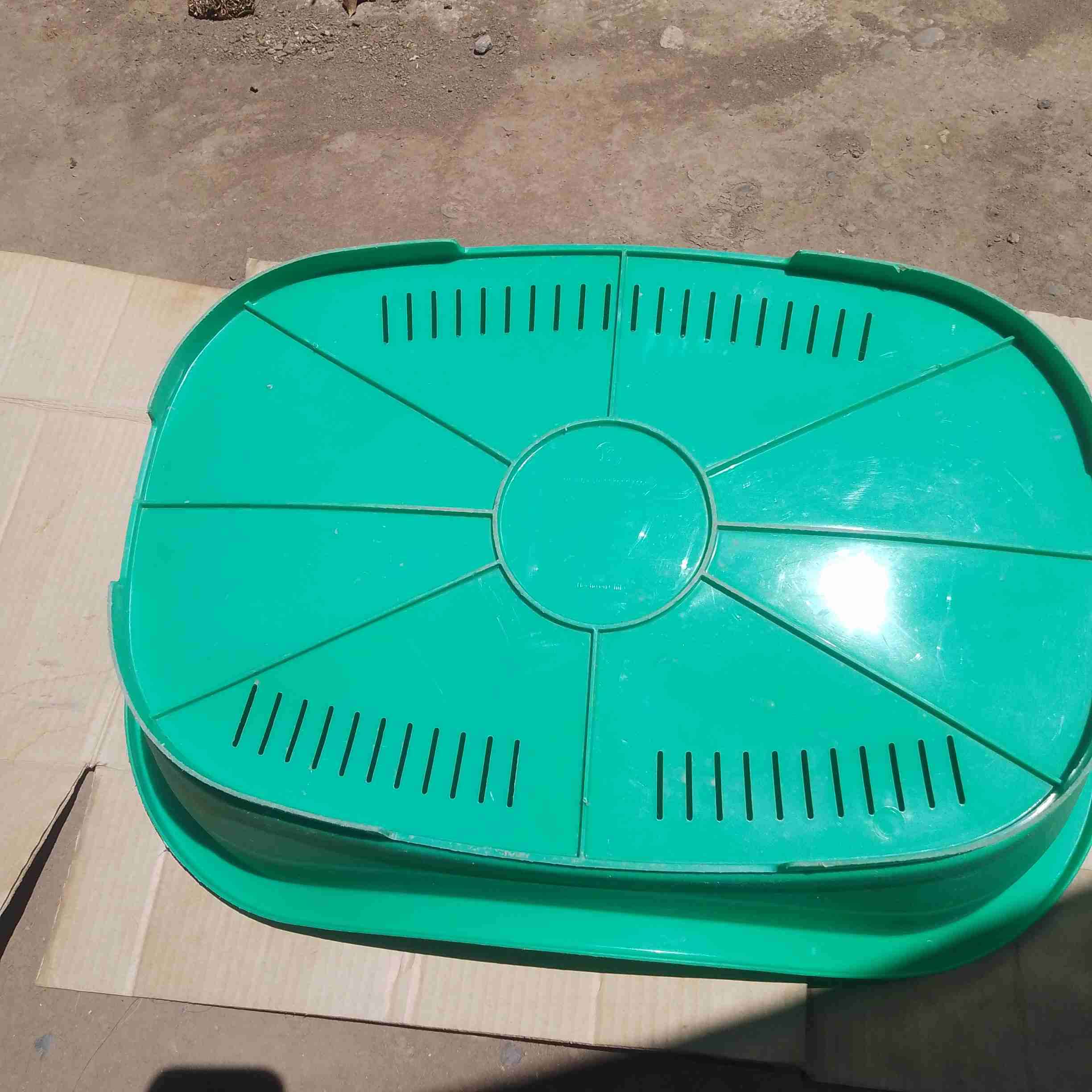 Cama plástica verde para mascotas - miniatura 2