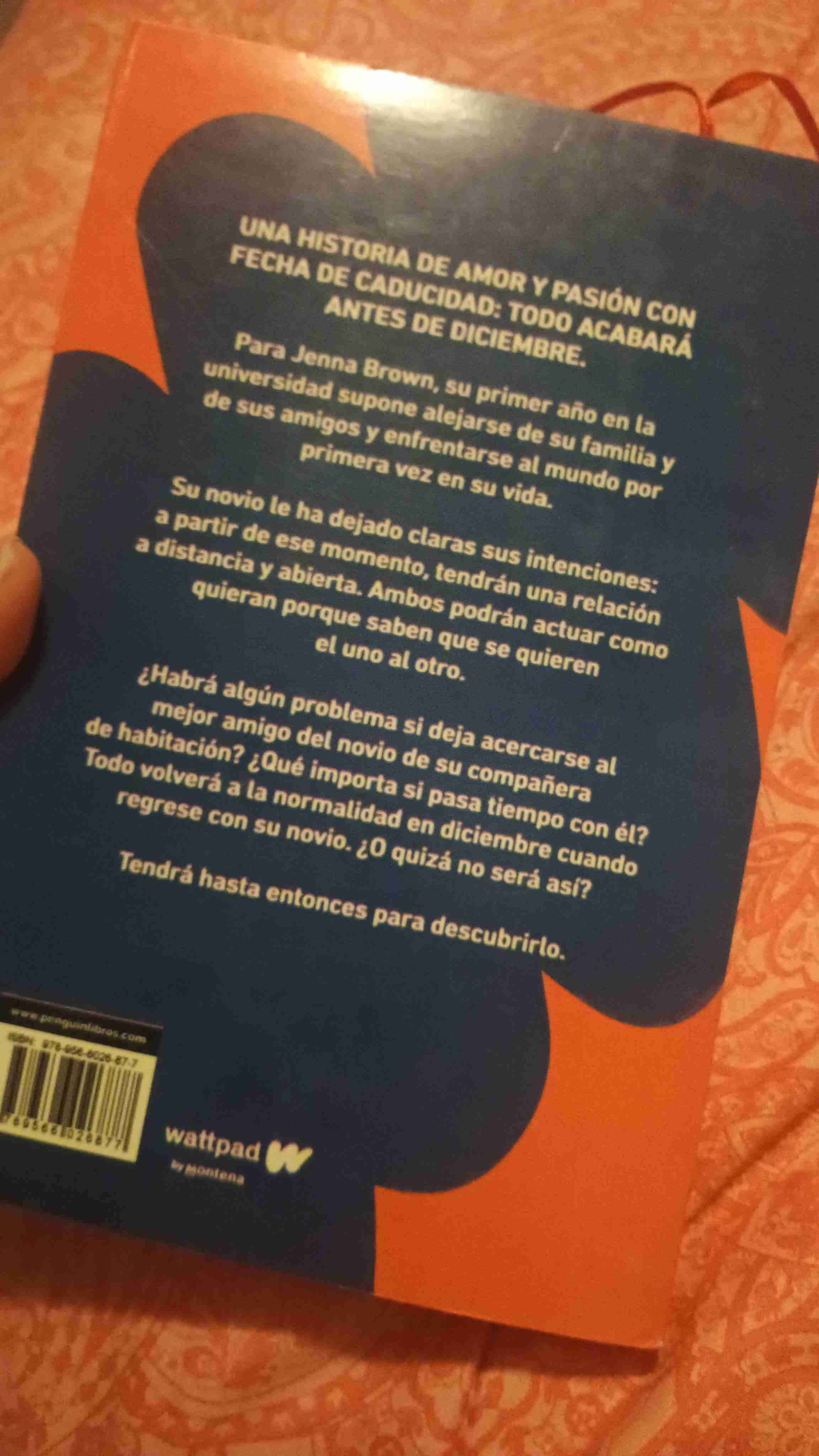 Libro Antes de Diciembre - miniatura 2
