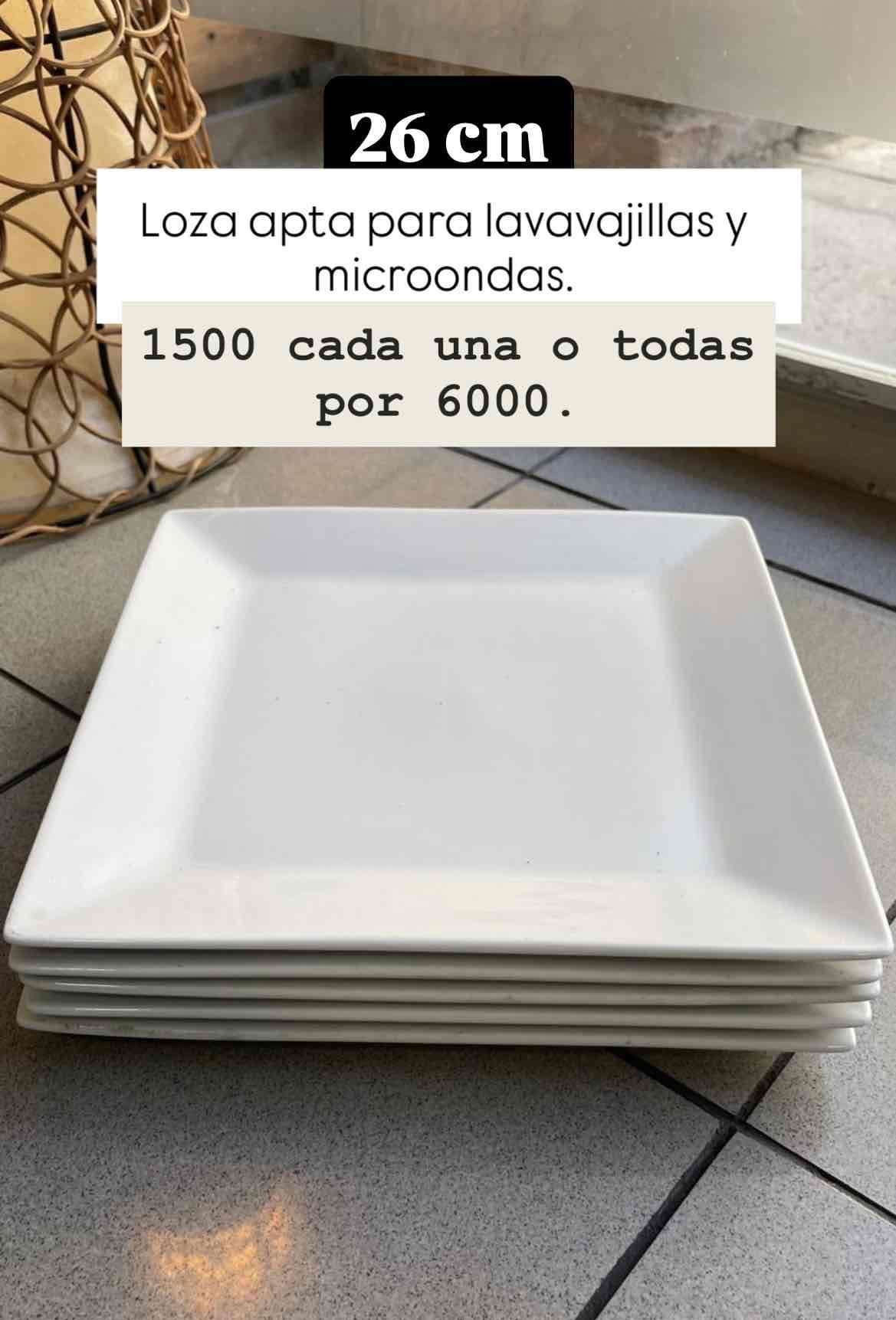 Platos cuadrados de loza 26 cm