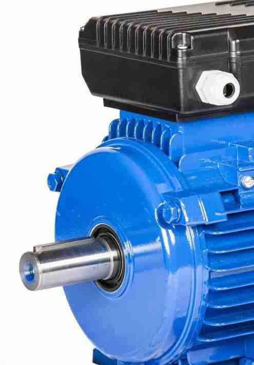 Motor eléctrico monofásico 2Hp - miniatura 2