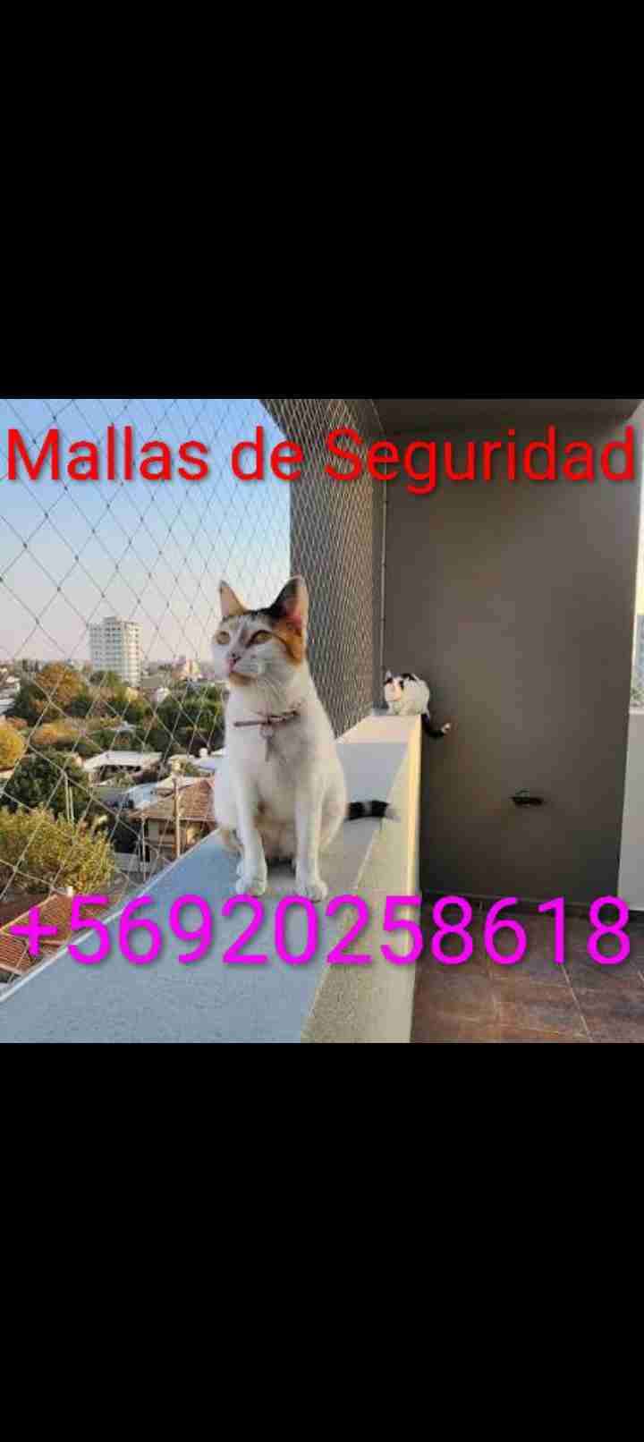 Mallas de seguridad y protección - miniatura 2