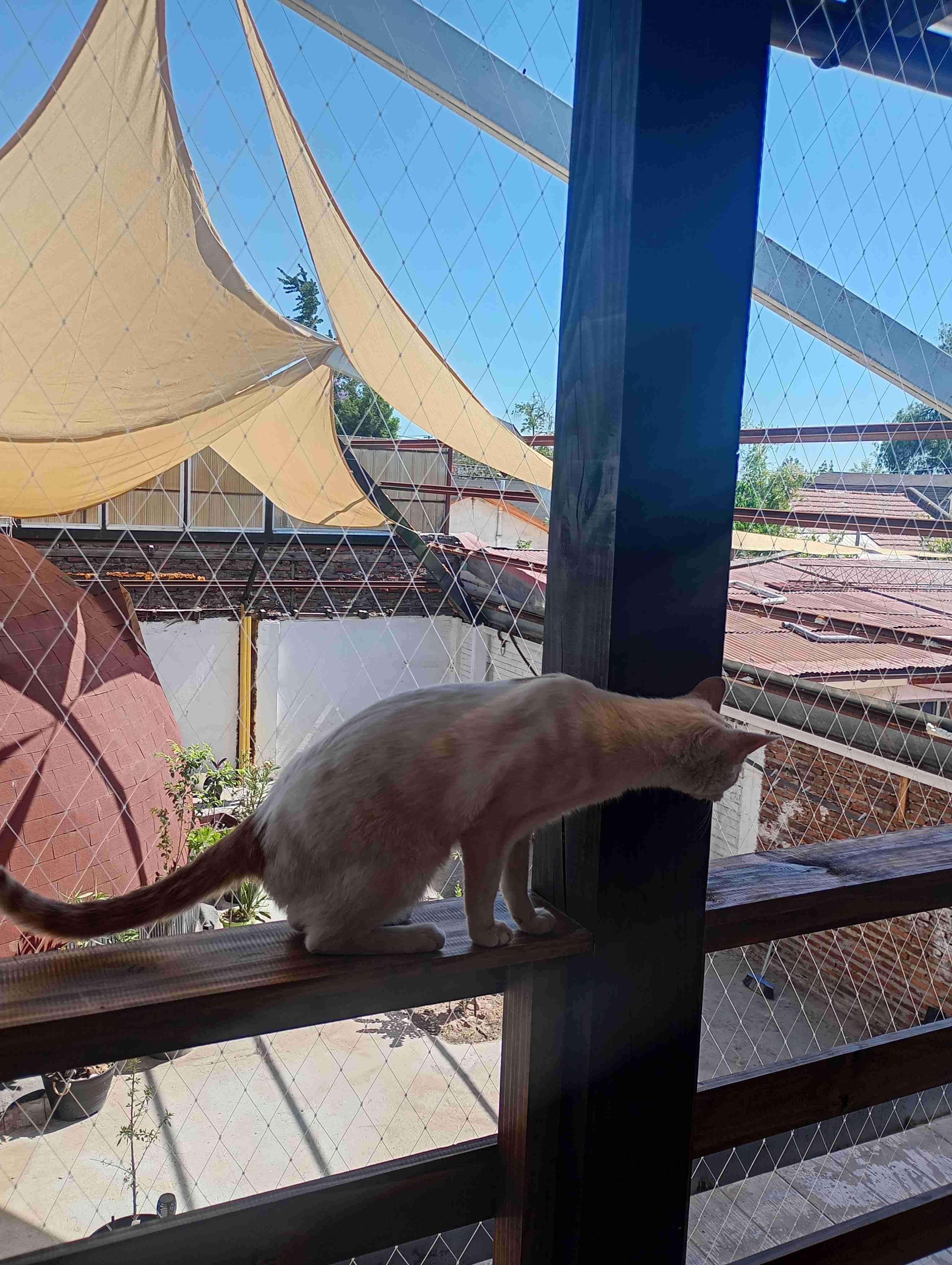 Mallas de seguridad y protección - miniatura 3