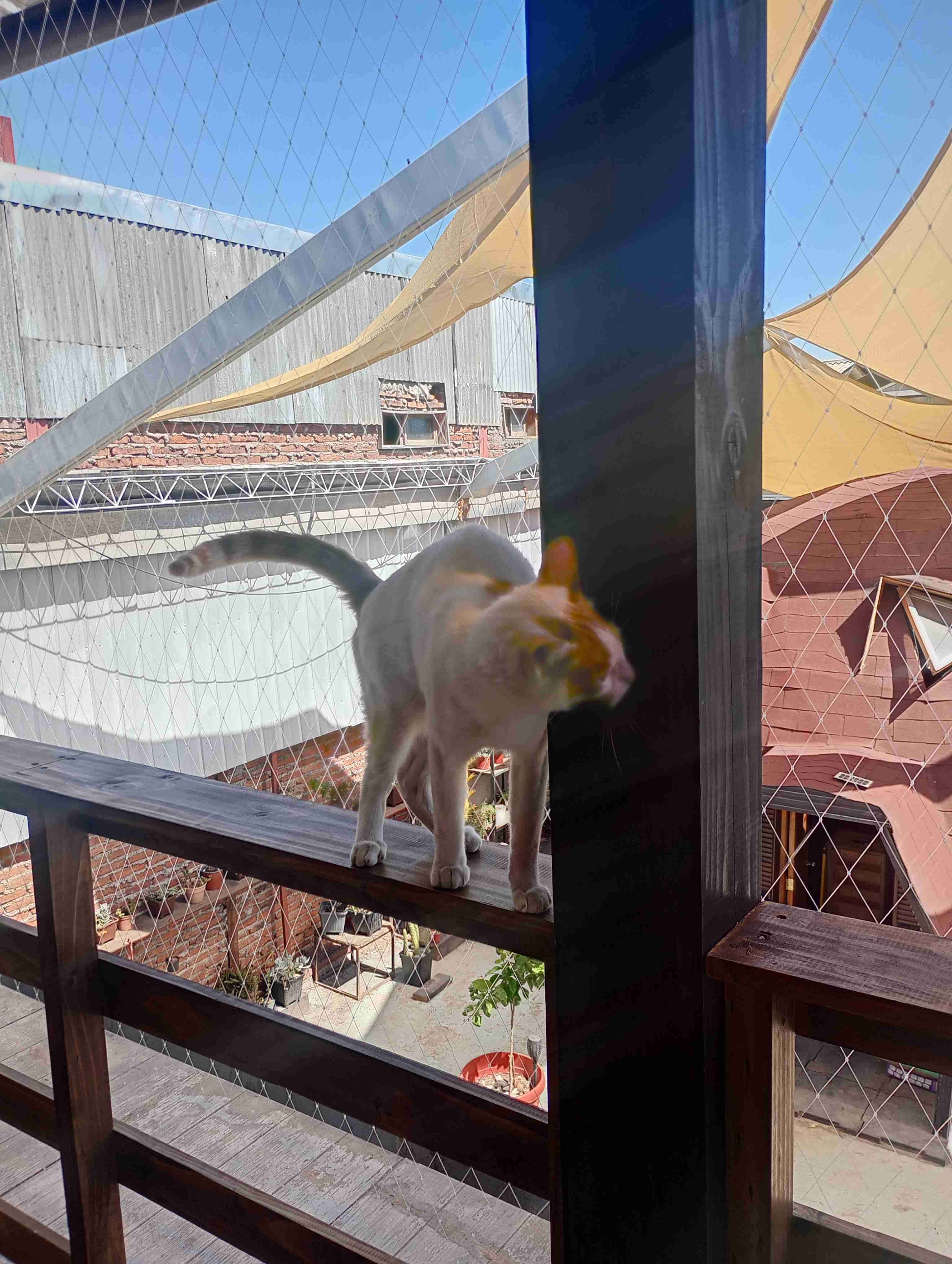 Mallas de seguridad y protección - miniatura 4