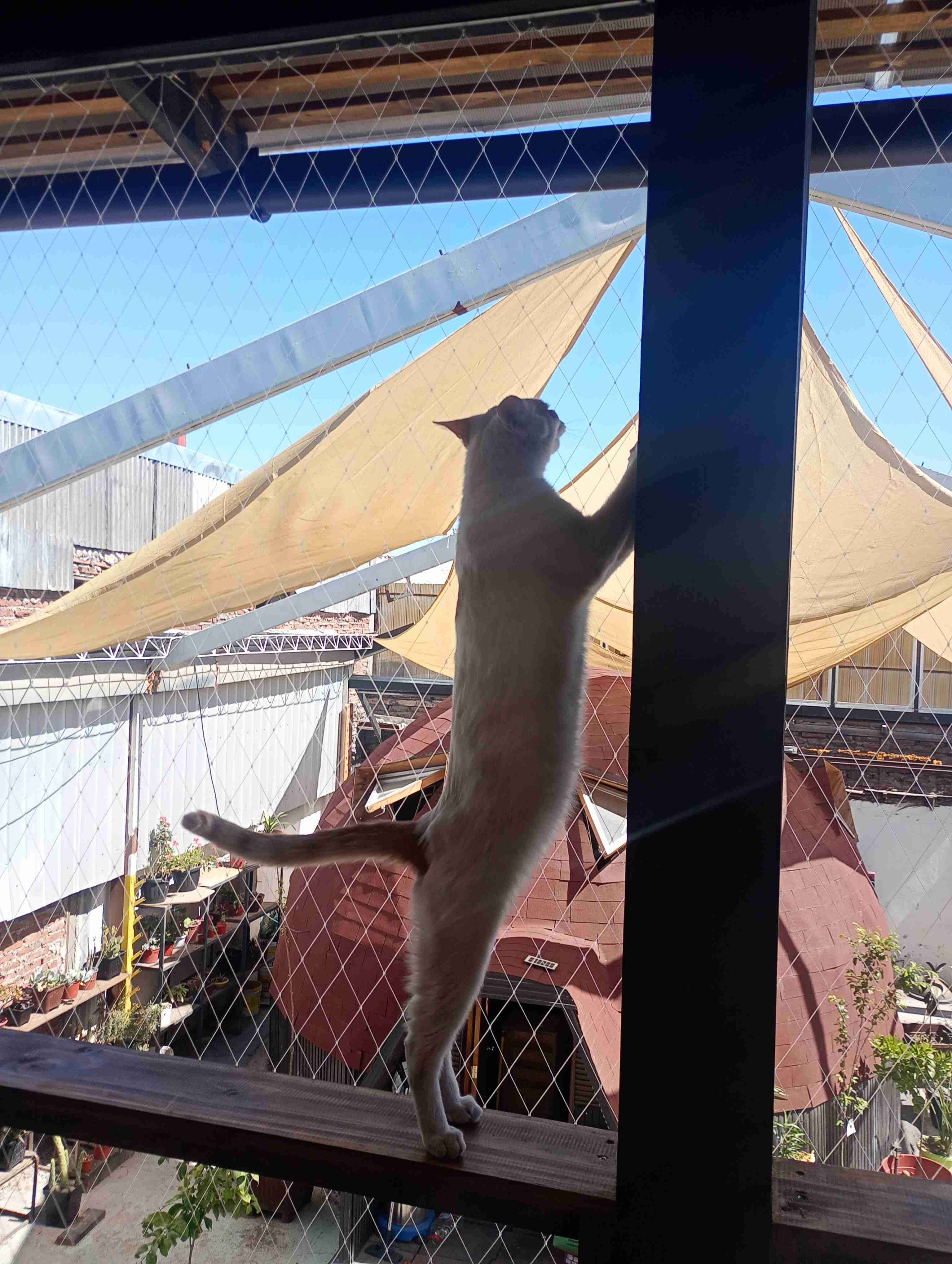 Mallas de seguridad y protección - miniatura 5