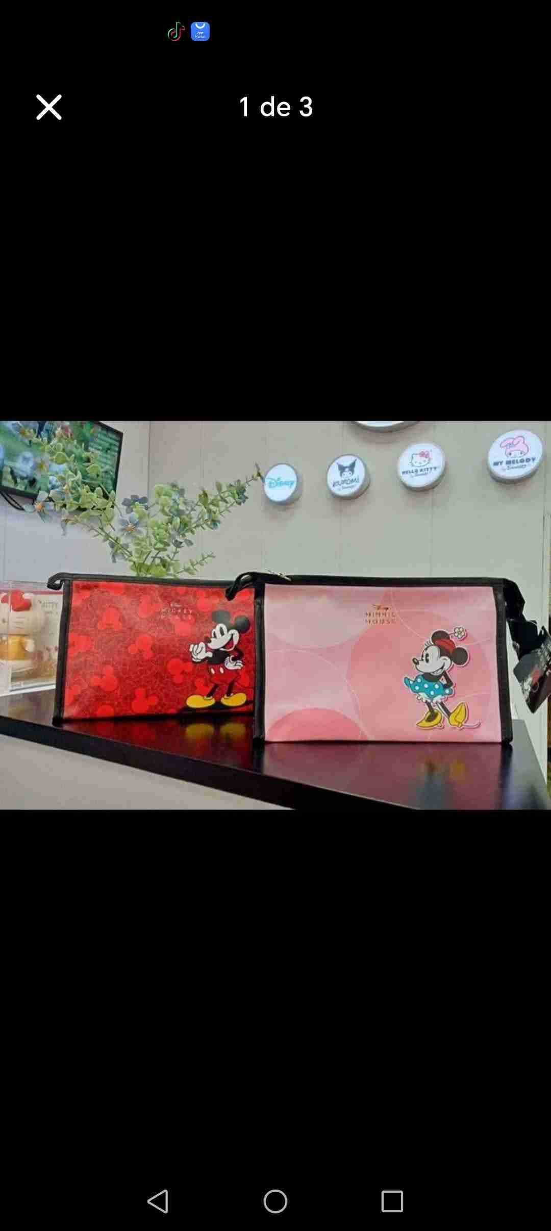 Estuches Disney Mickey y Minnie al mayor