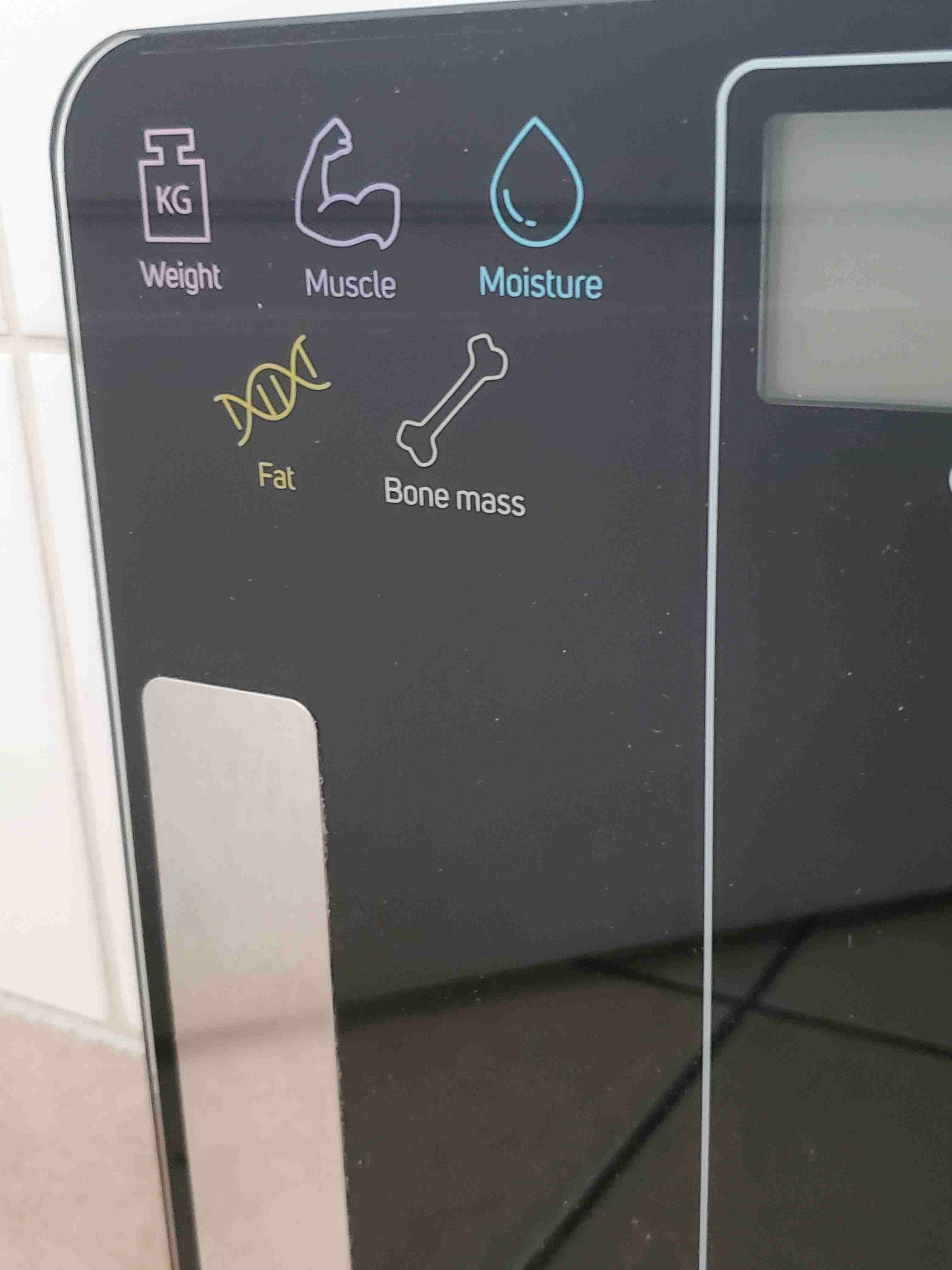 Báscula de Fitness Sencor Bluetooth - miniatura 3