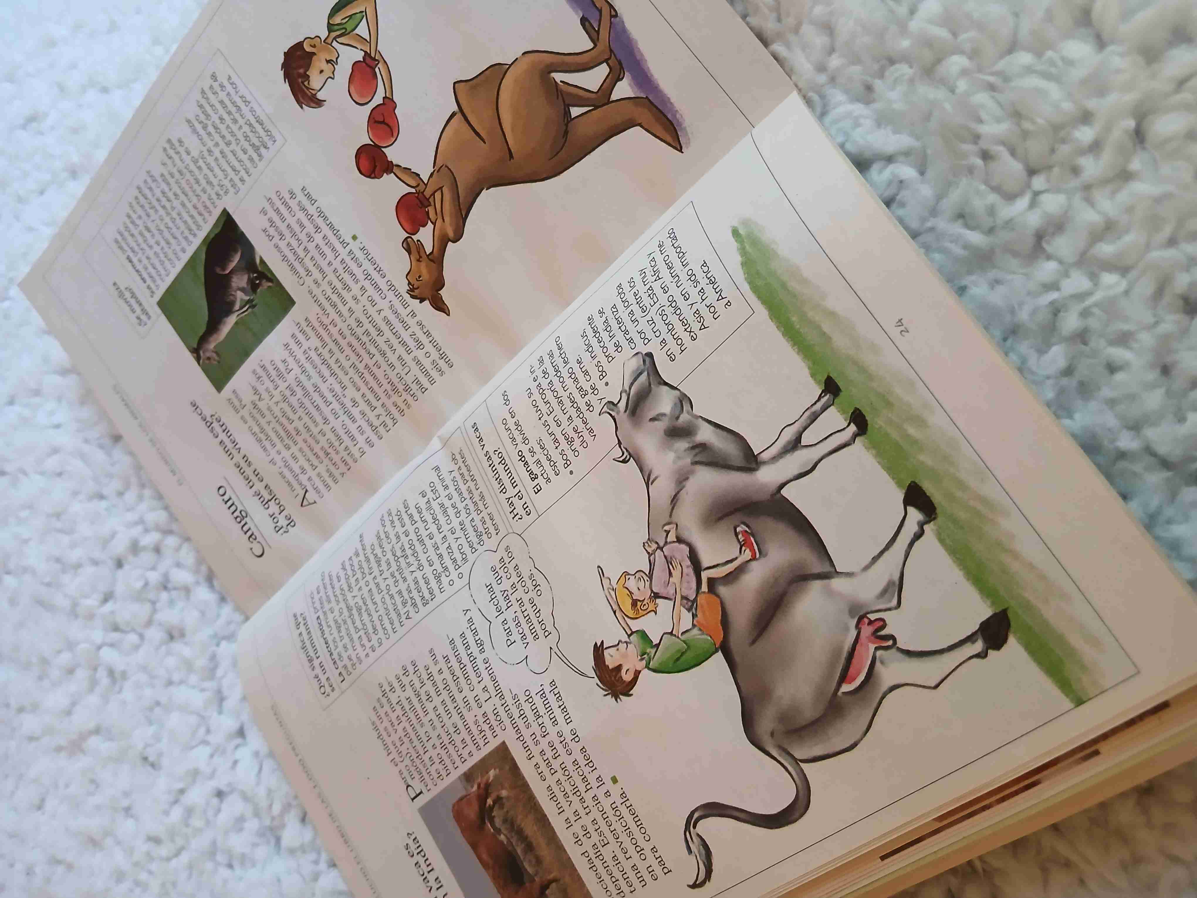 Papelucho El libro de las 1.000 preguntas - miniatura 4