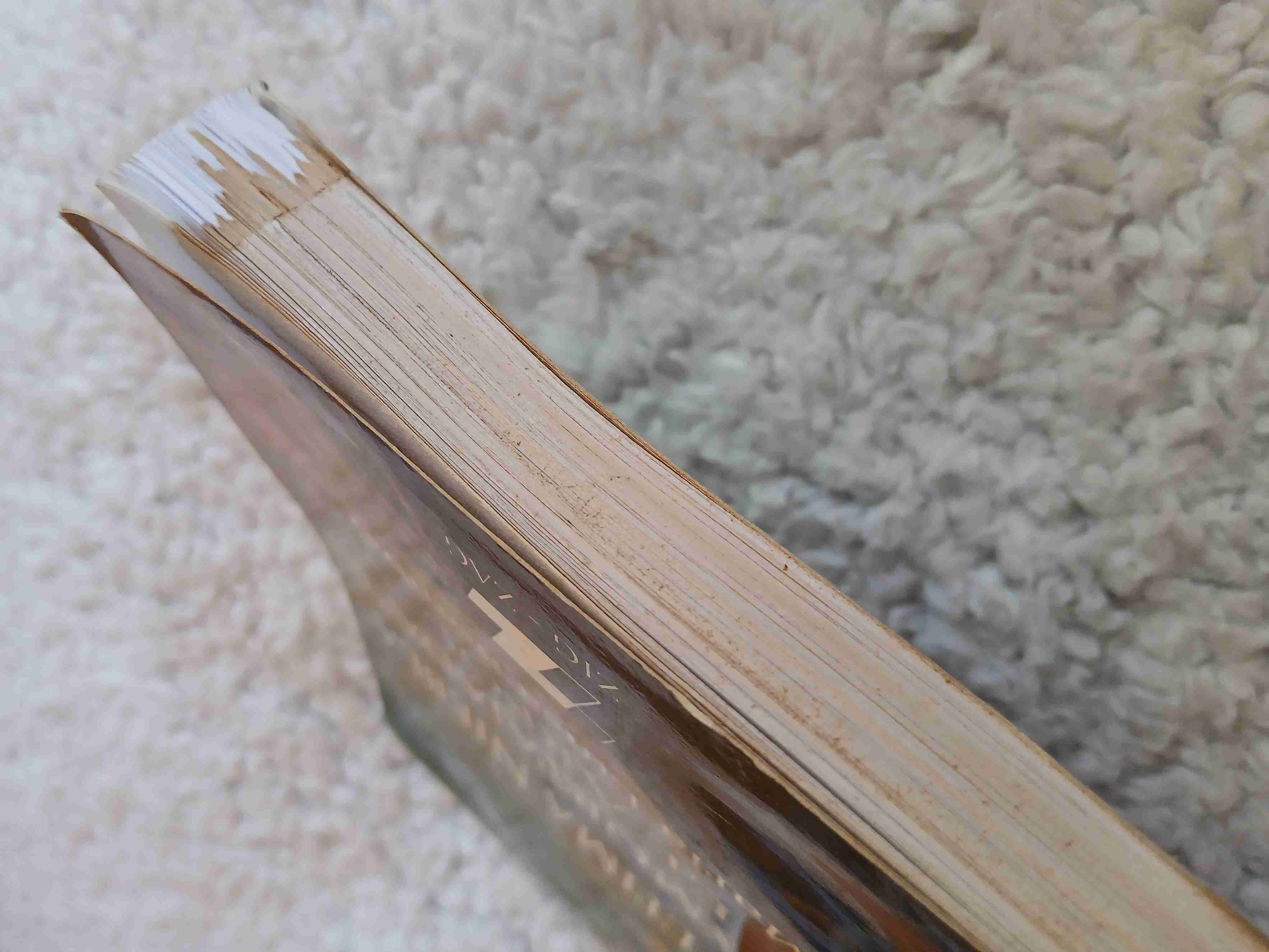 "La Última Niebla, la Amortajada y El árbol" - miniatura 5