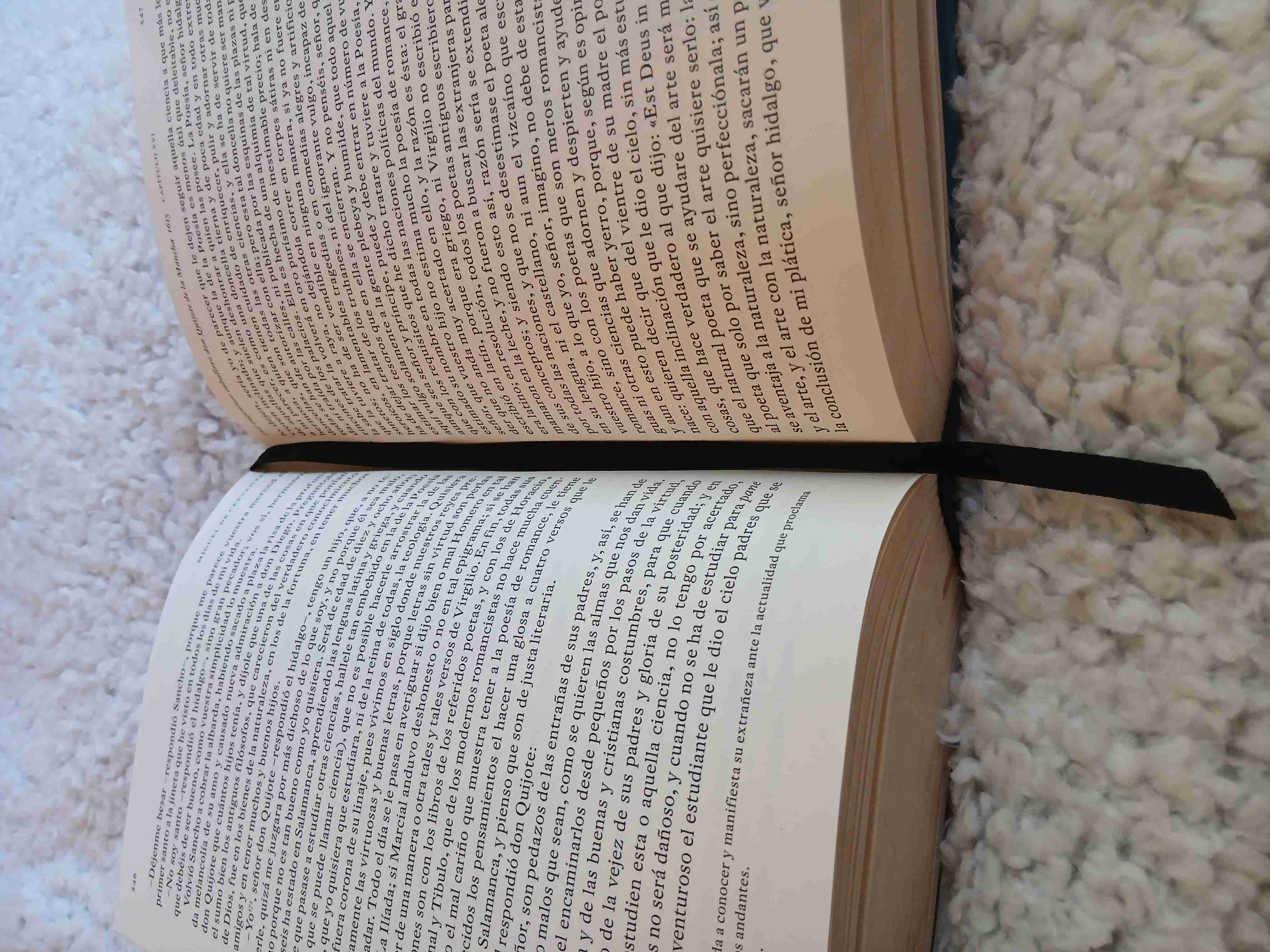 Libro Don Quijote de la Mancha - miniatura 4