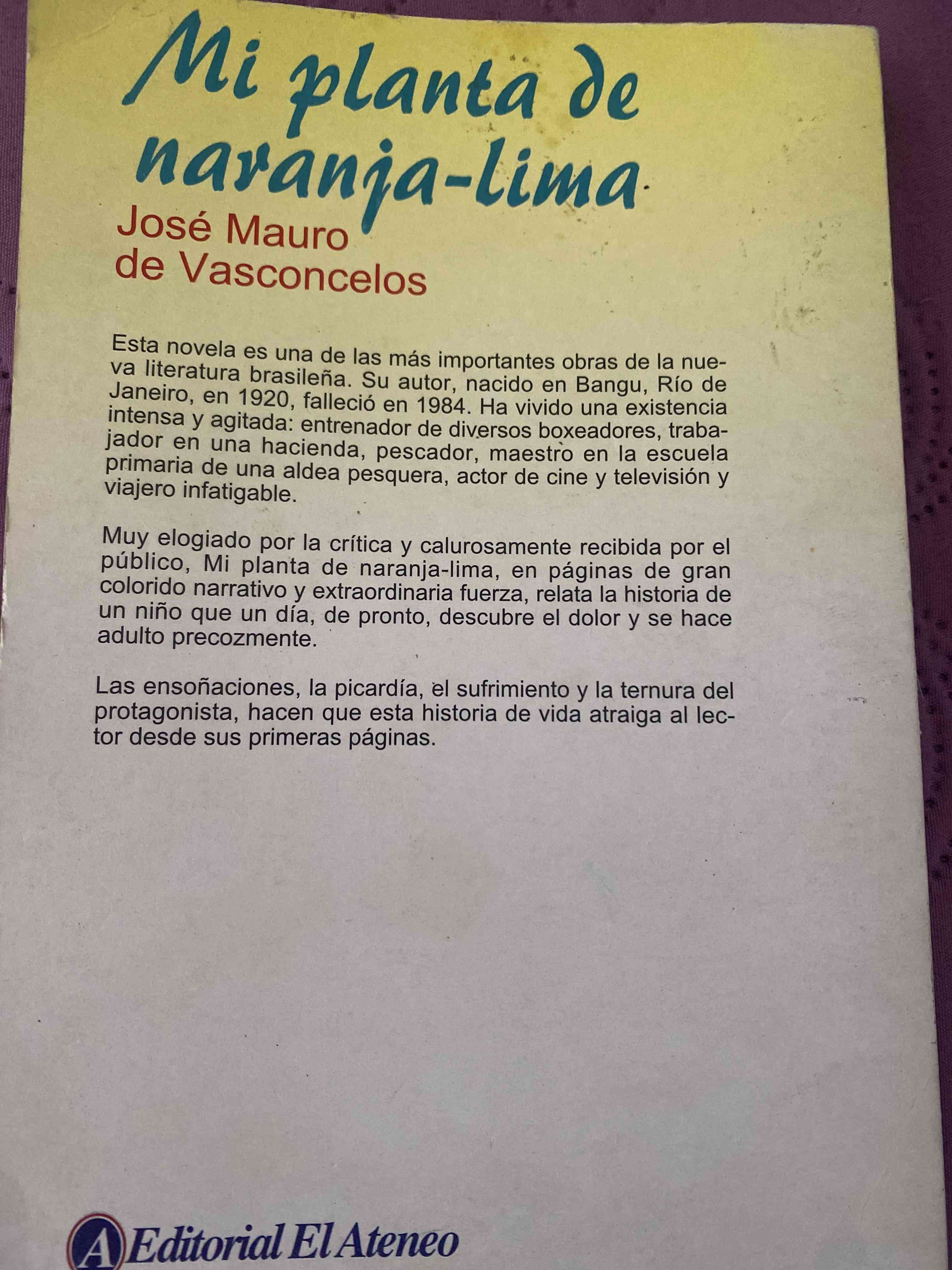 Libro lectura - miniatura 2