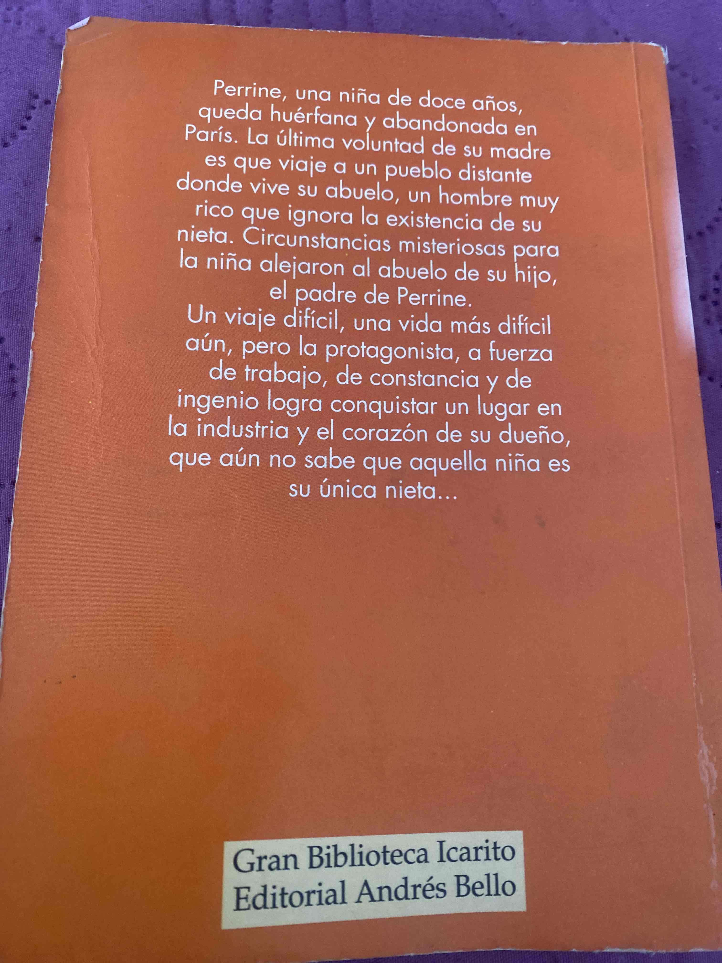 Libro 'En Familia' Héctor Malot - miniatura 2