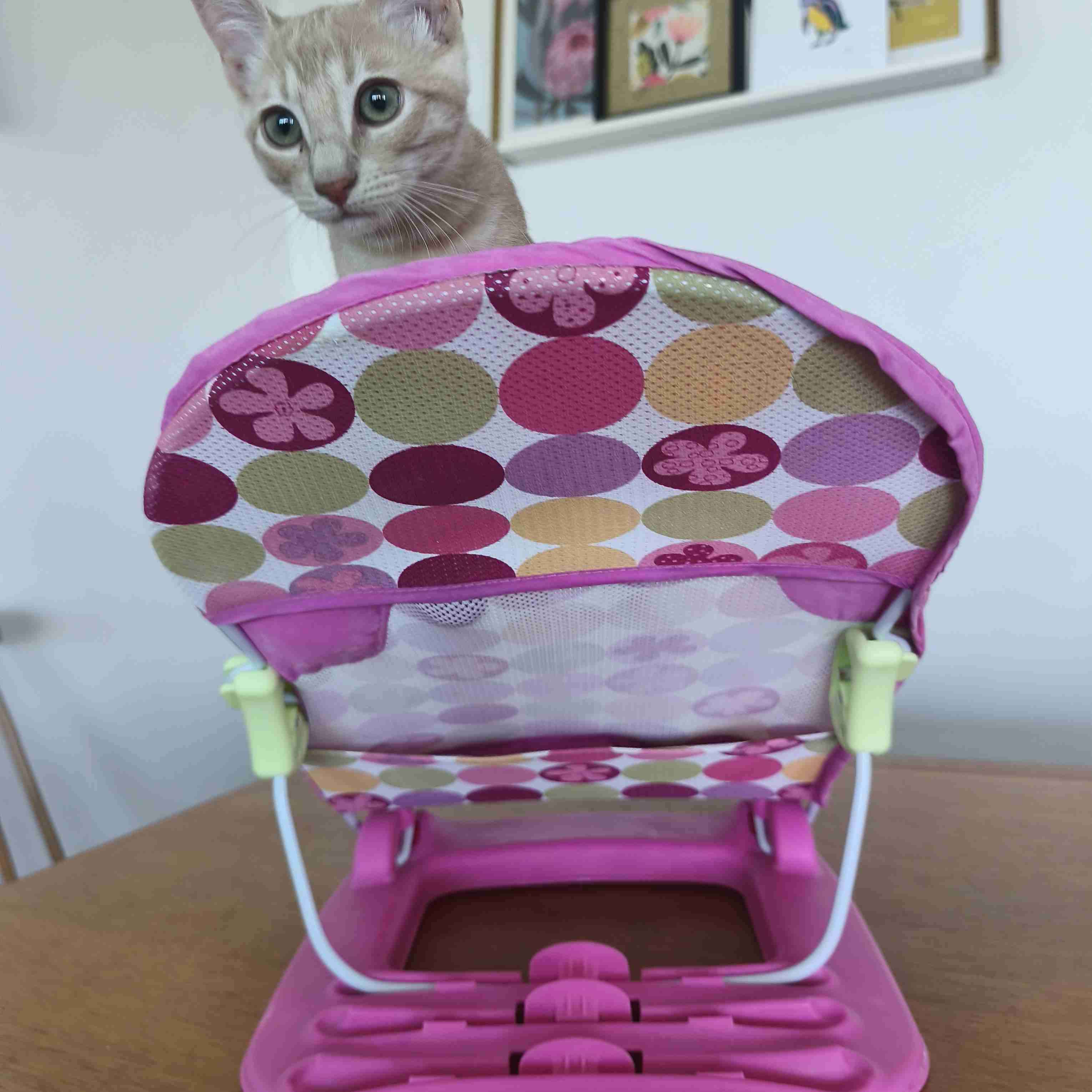 Silla mecedora para bebés - miniatura 4