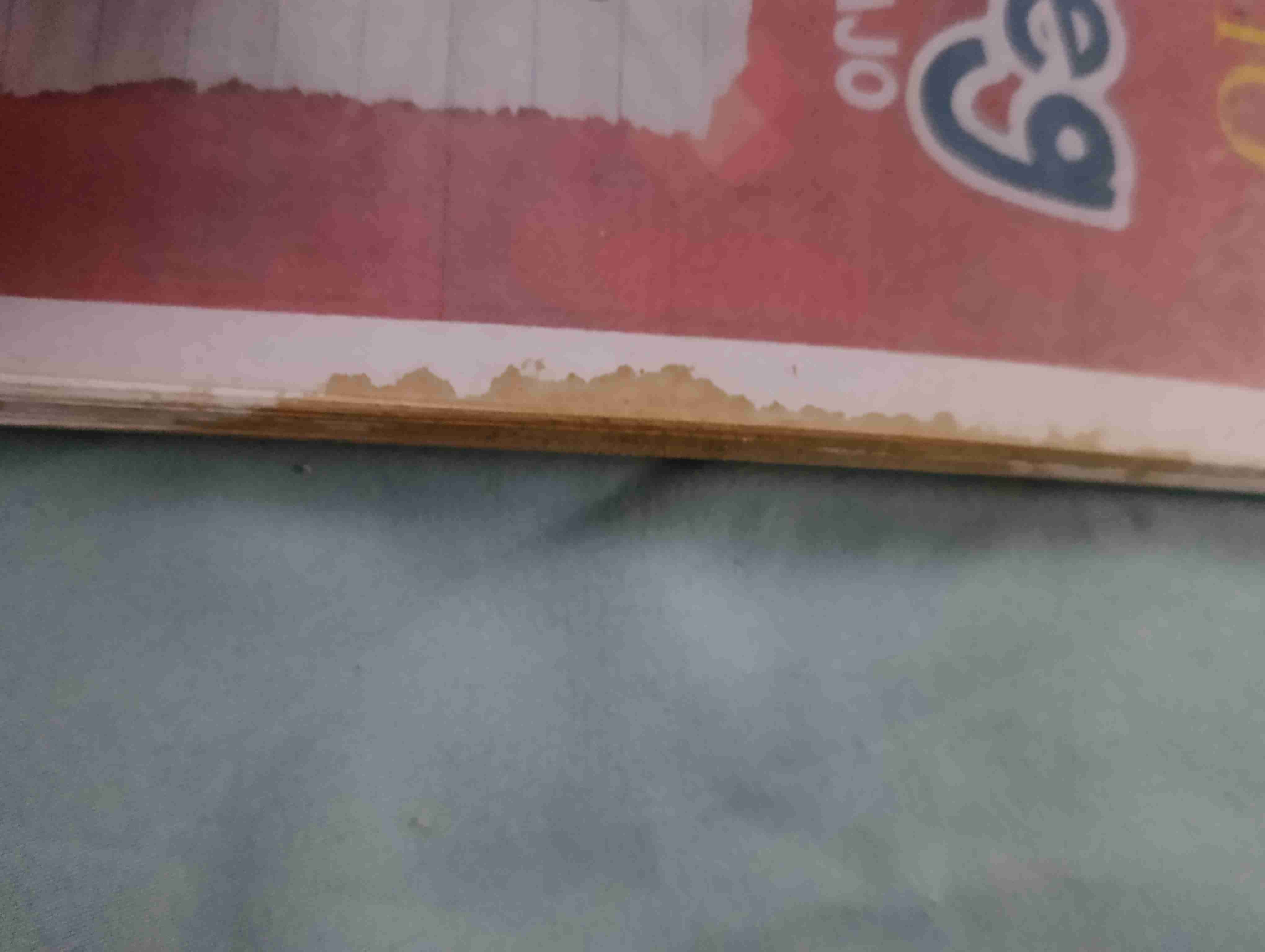 Diario de Greg: Un Renacuajo - miniatura 2