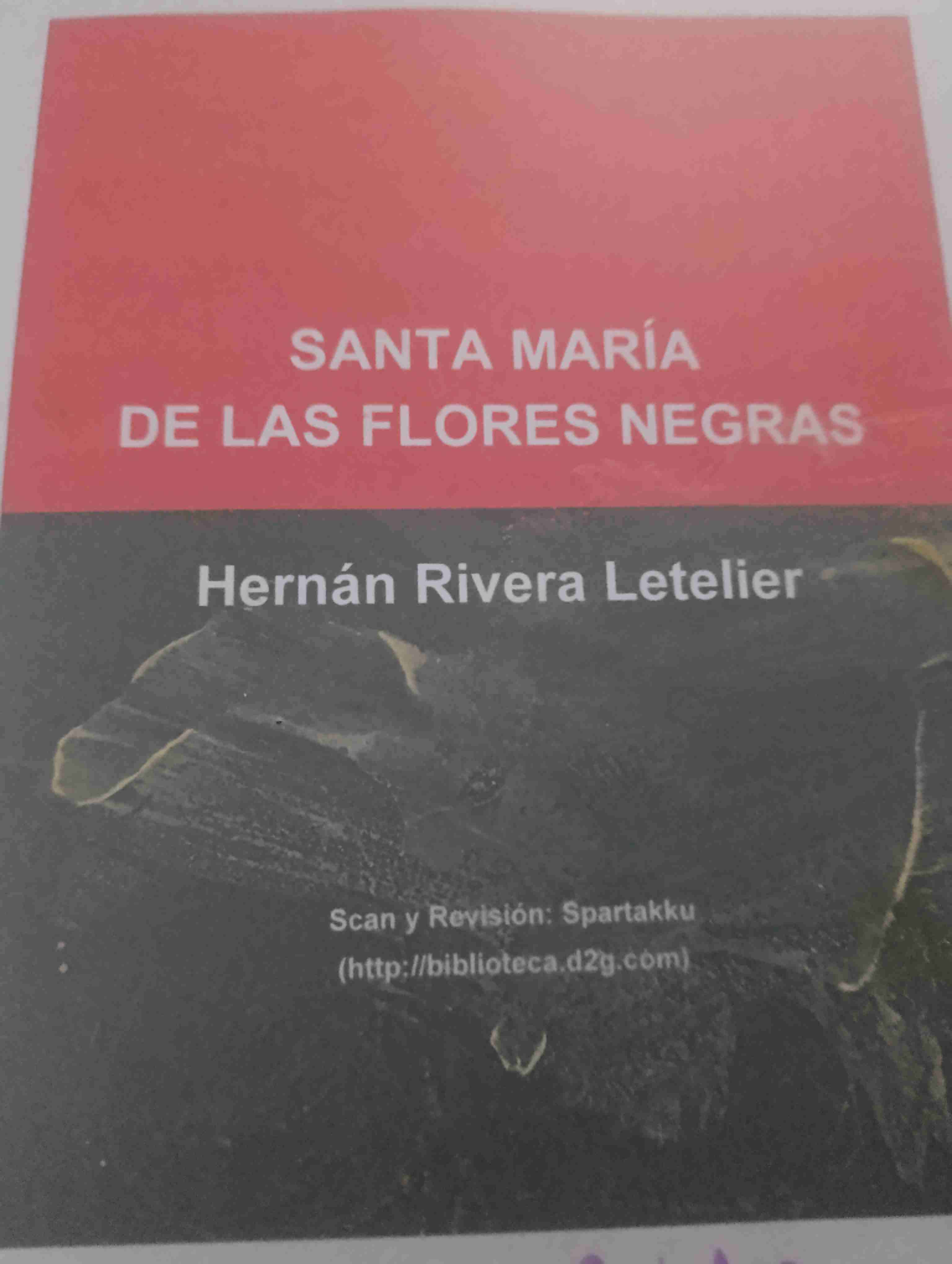 Libro Santa María de las Flores Negras