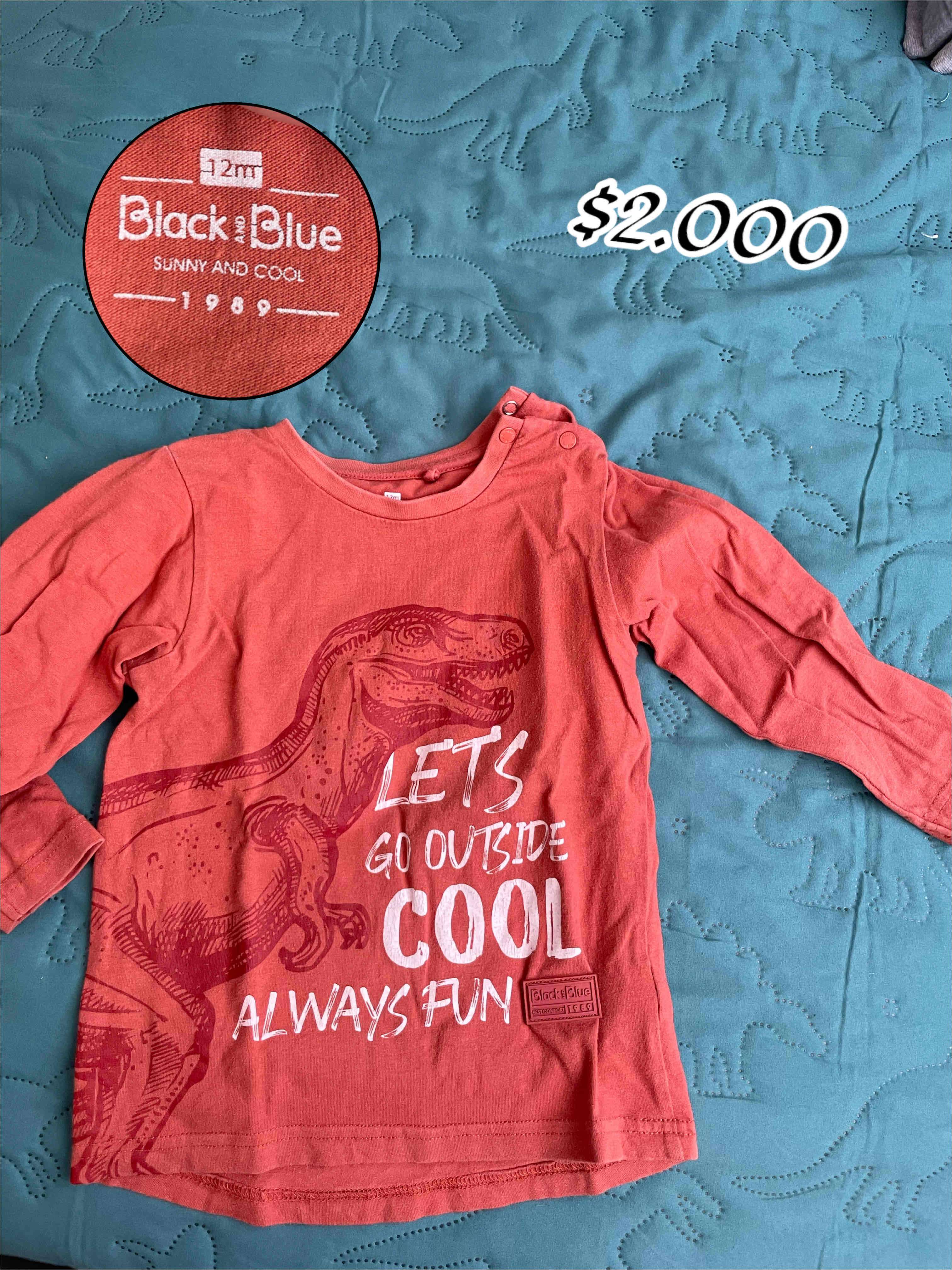 Polera niño con diseño dinosaurio