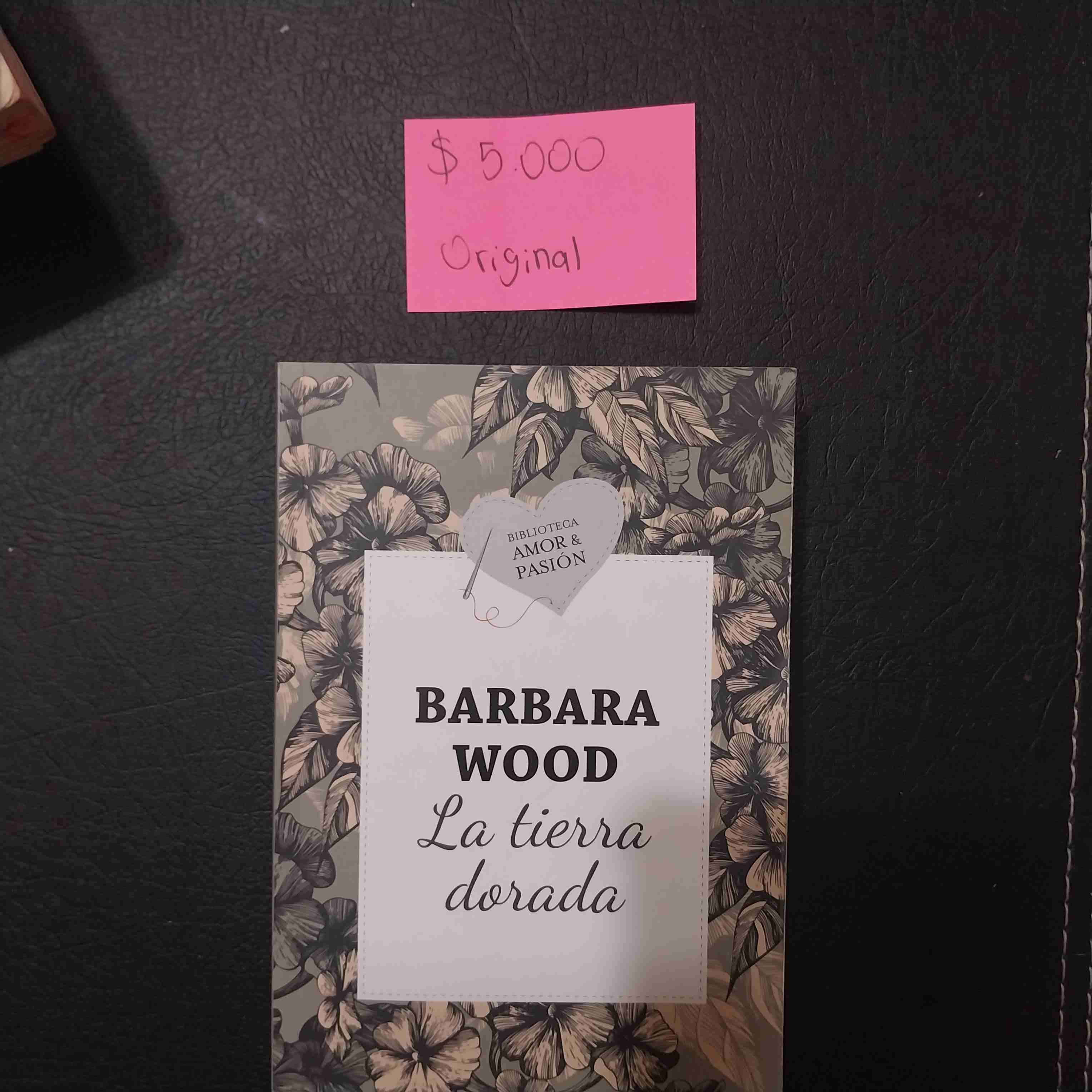 Libro 'La tierra dorada' Barbara Wood