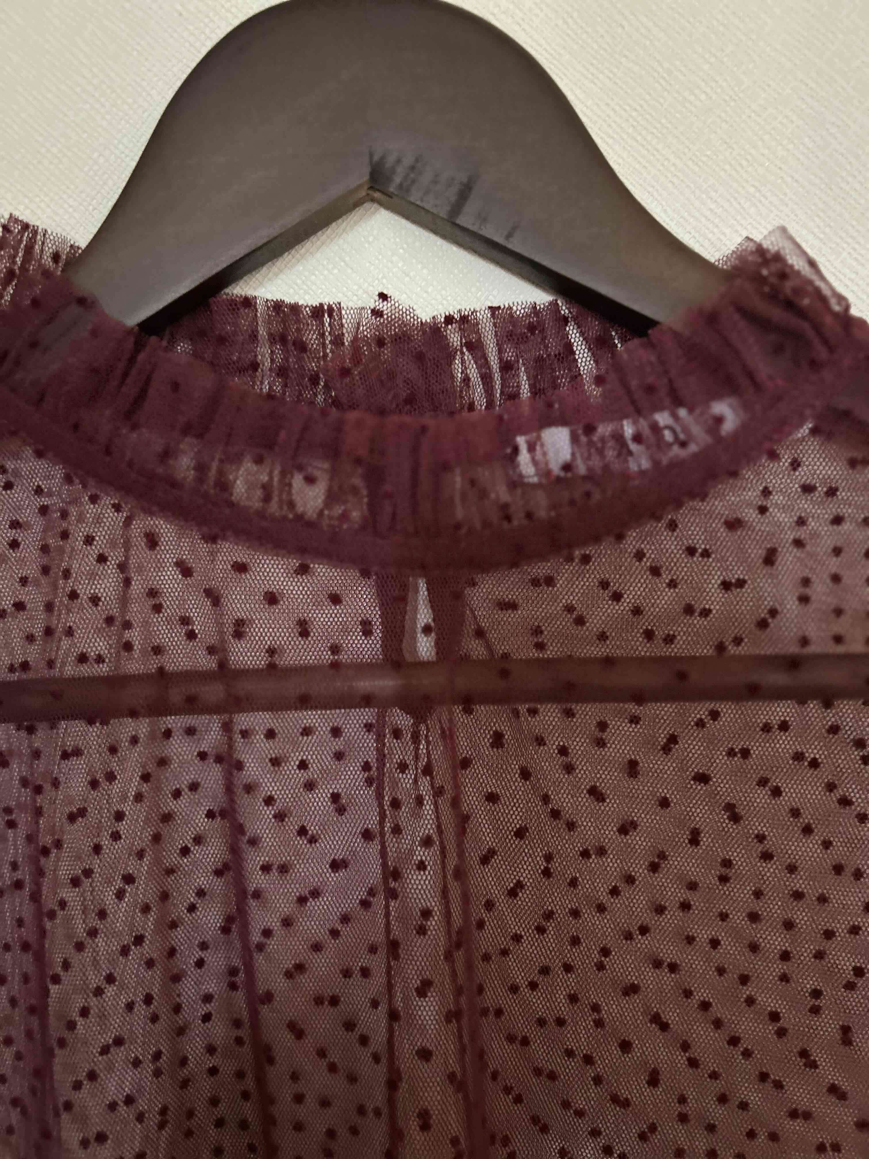 Blusa transparente burdeo - miniatura 2